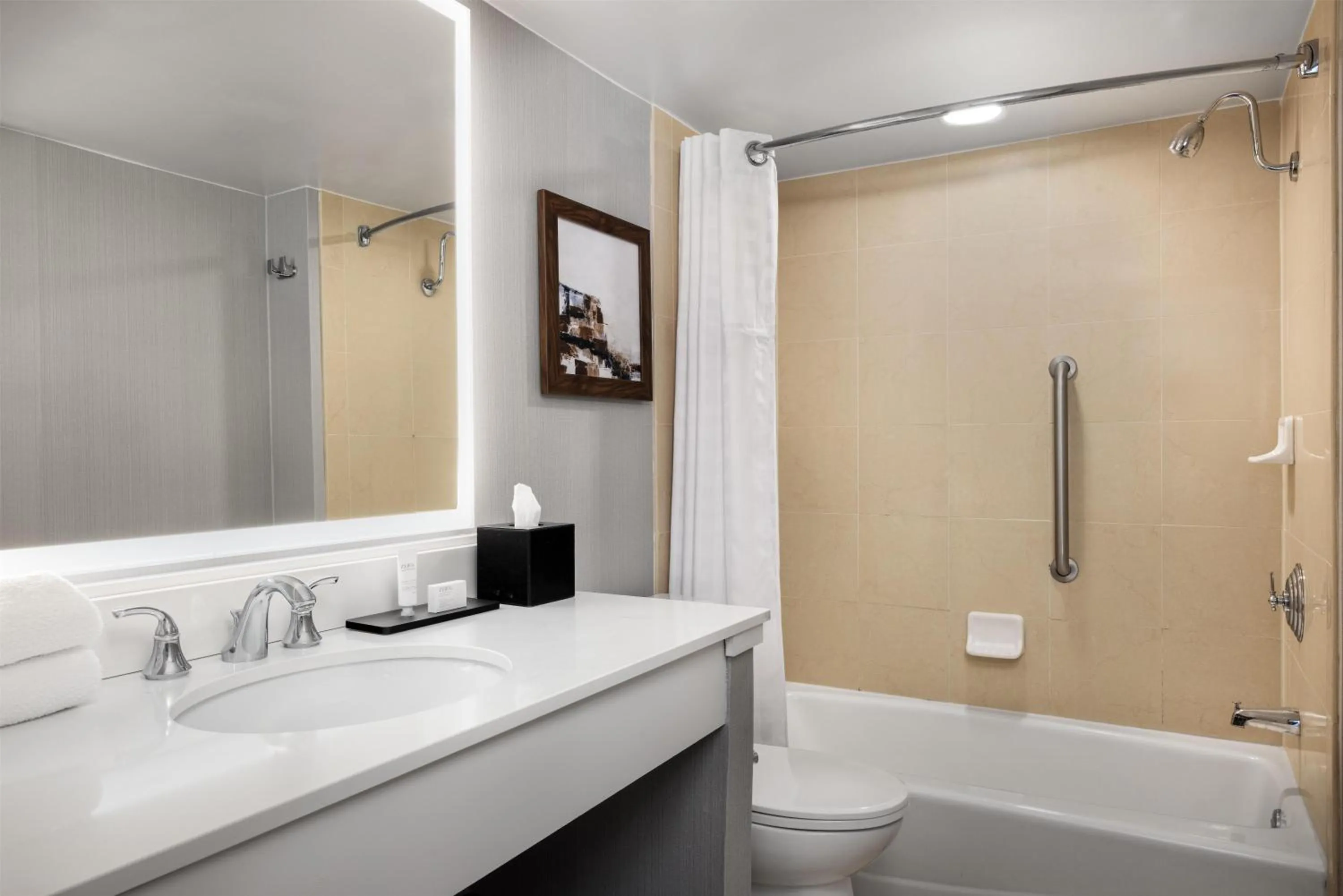 Bathroom in Embassy Suites Birmingham