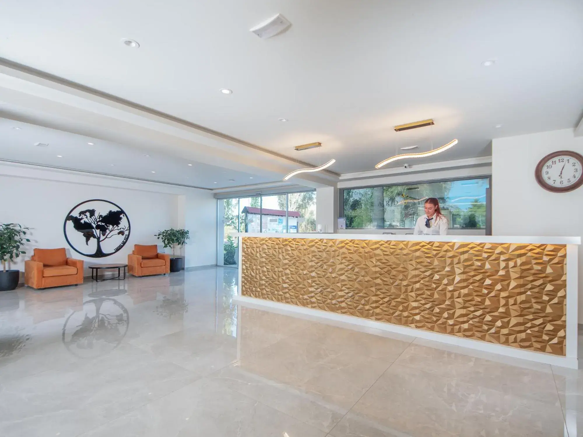 Lobby or reception in Lardos Bay Hotel Lobby or reception in Lardos Bay Hotel