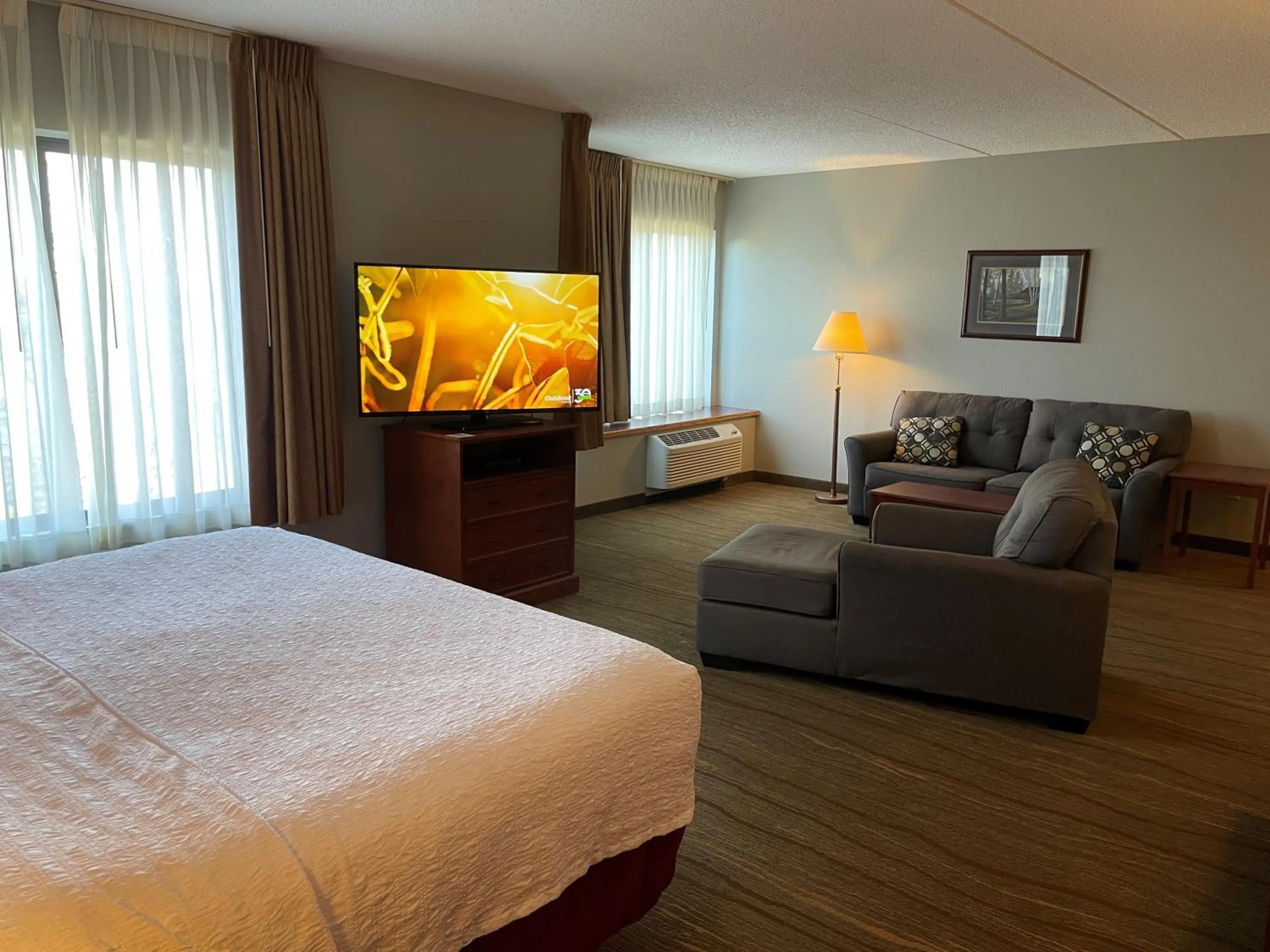 TV and multimedia, Bed in SouthShore Hotel on Lake Bemidji, Trademark Coll by Wyndham