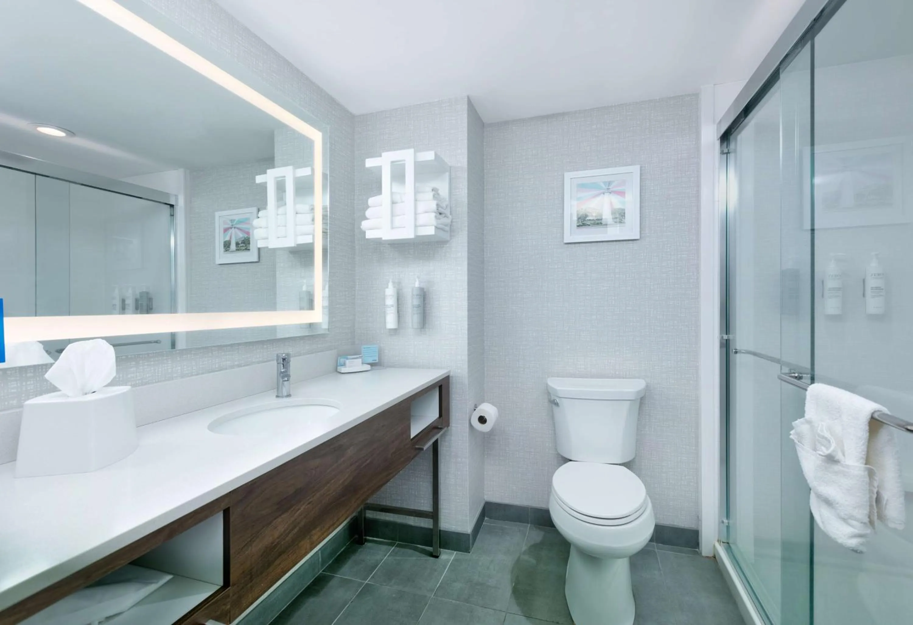 Bathroom in Hampton Inn Biloxi Beach Boulevard