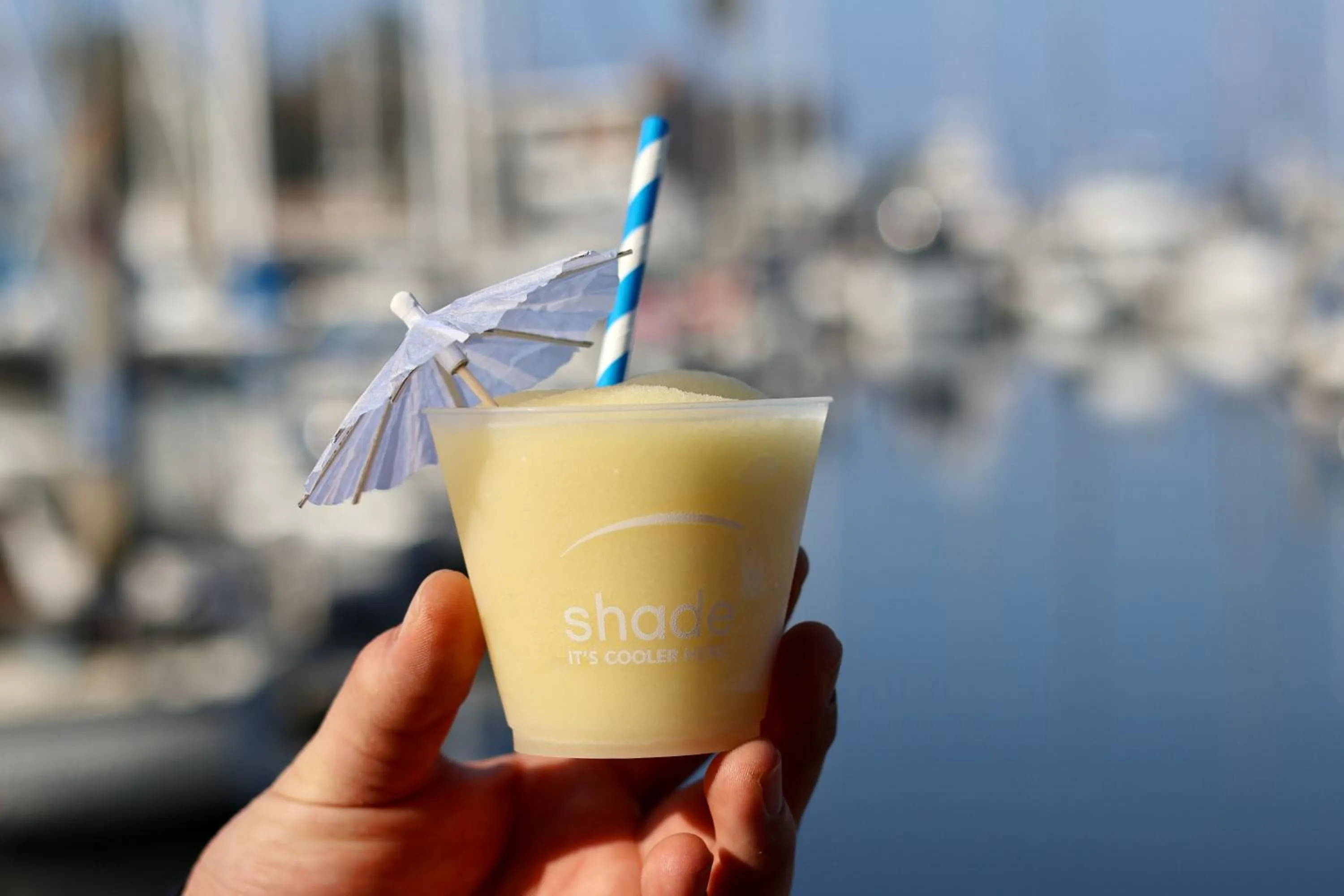 Alcoholic drinks in Shade Hotel Redondo Beach