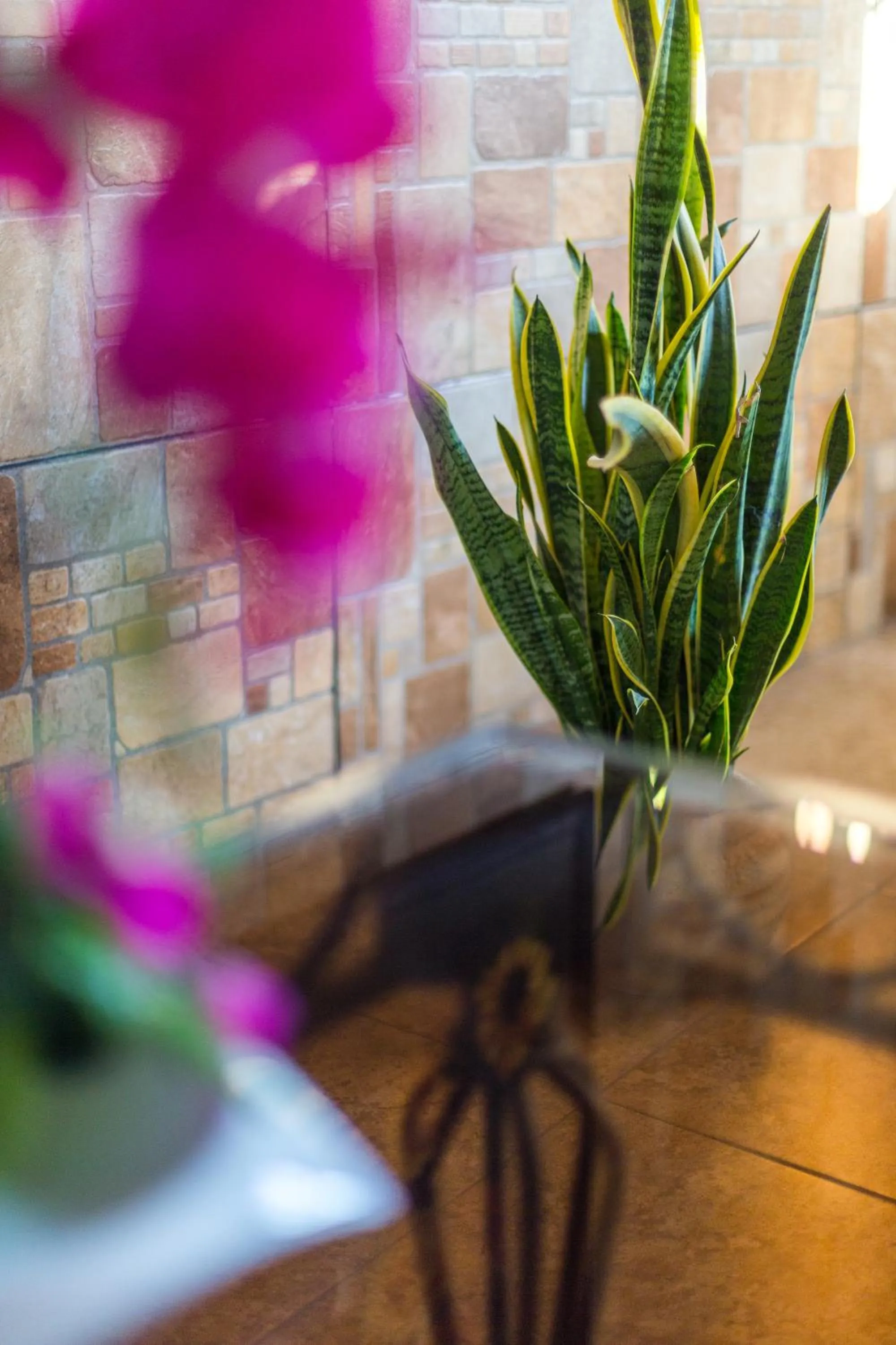 Communal lounge/ TV room in Merida Serviced Apartments