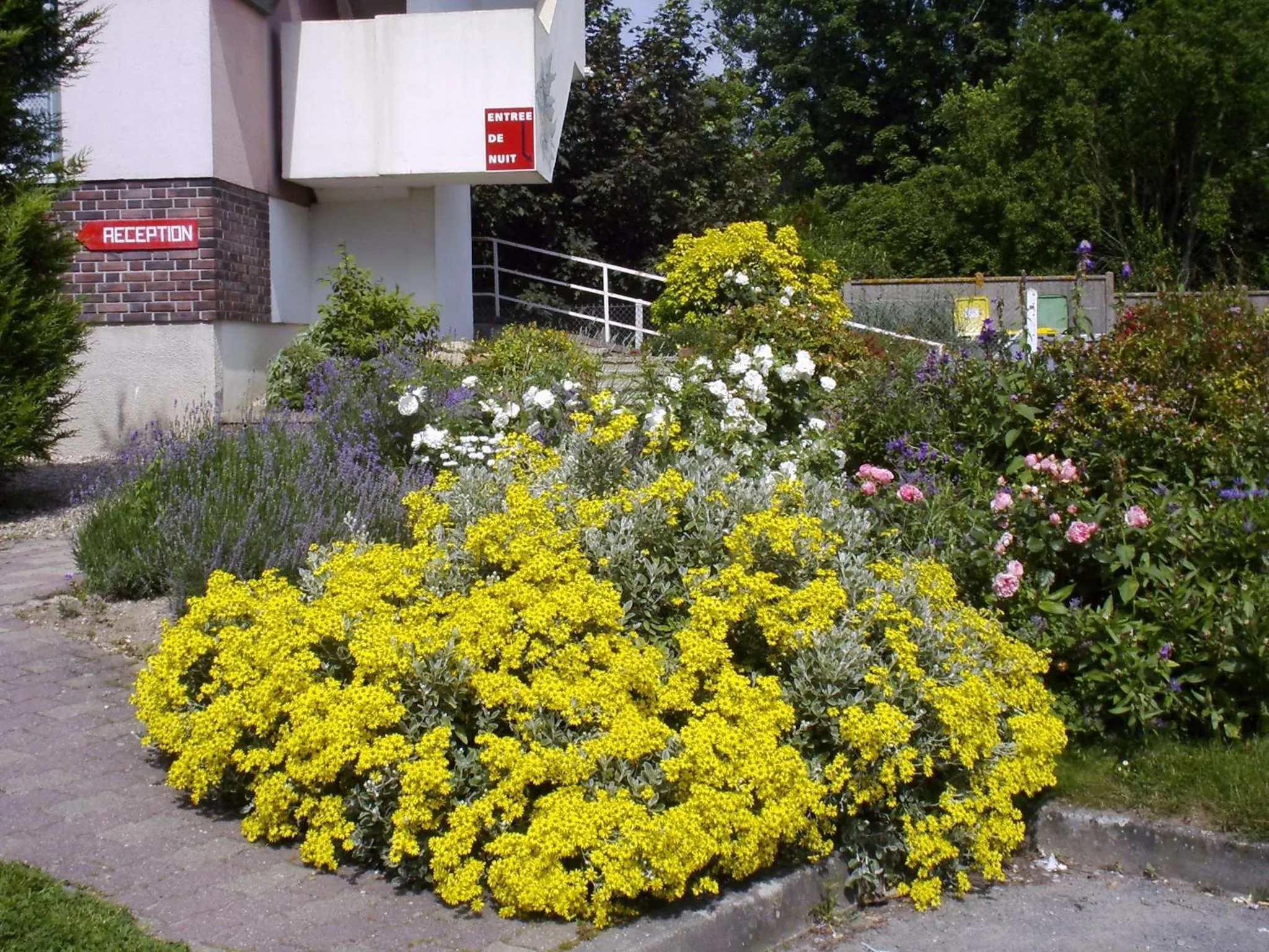 Garden in Hotel du Haut Marais