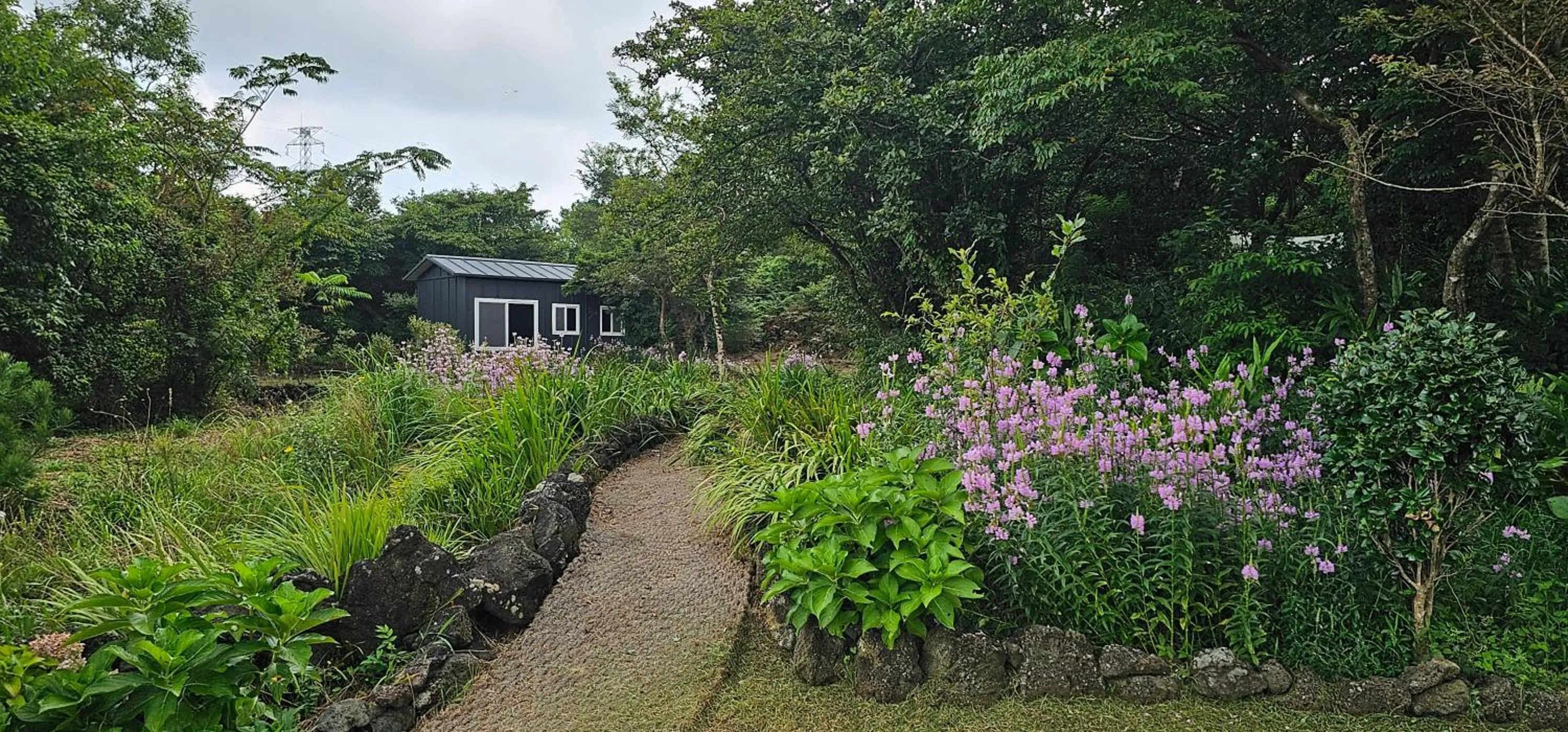 Gotjawal Geomunoreum Pension