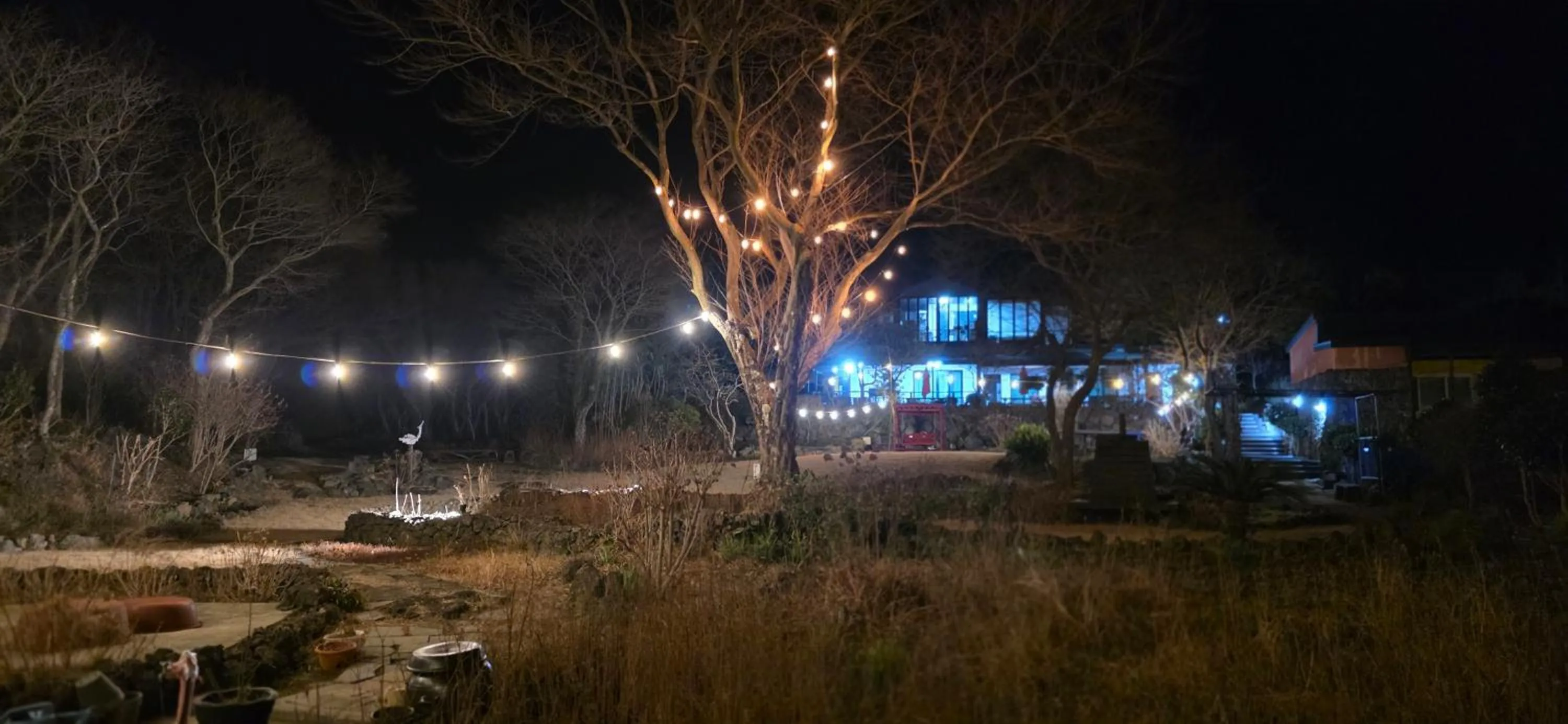 Gotjawal Geomunoreum Pension