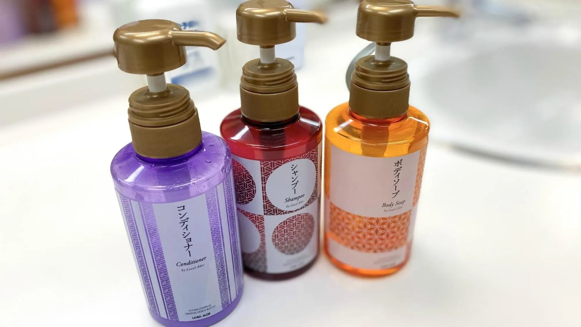 Area and facilities in Hotel Chatelet Inn Kyoto