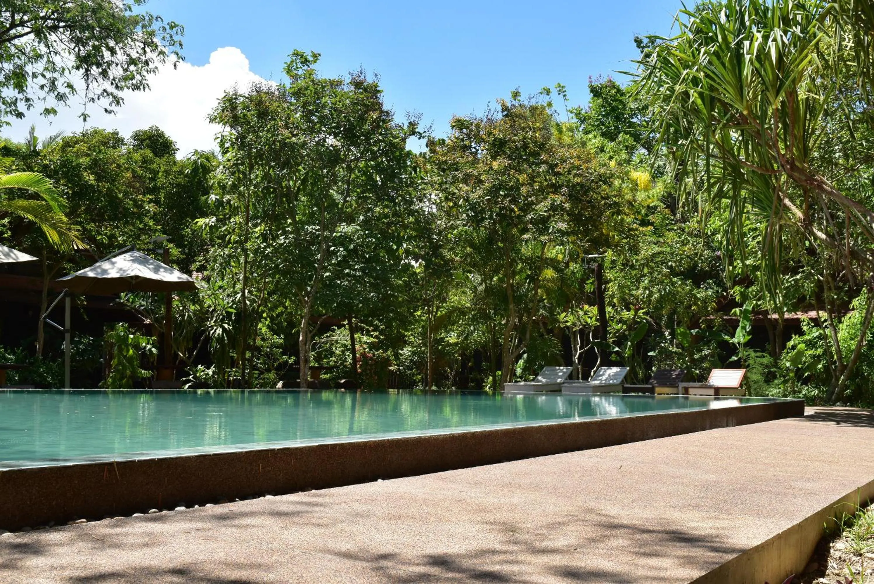 Garden in Palm Village Resort & Spa