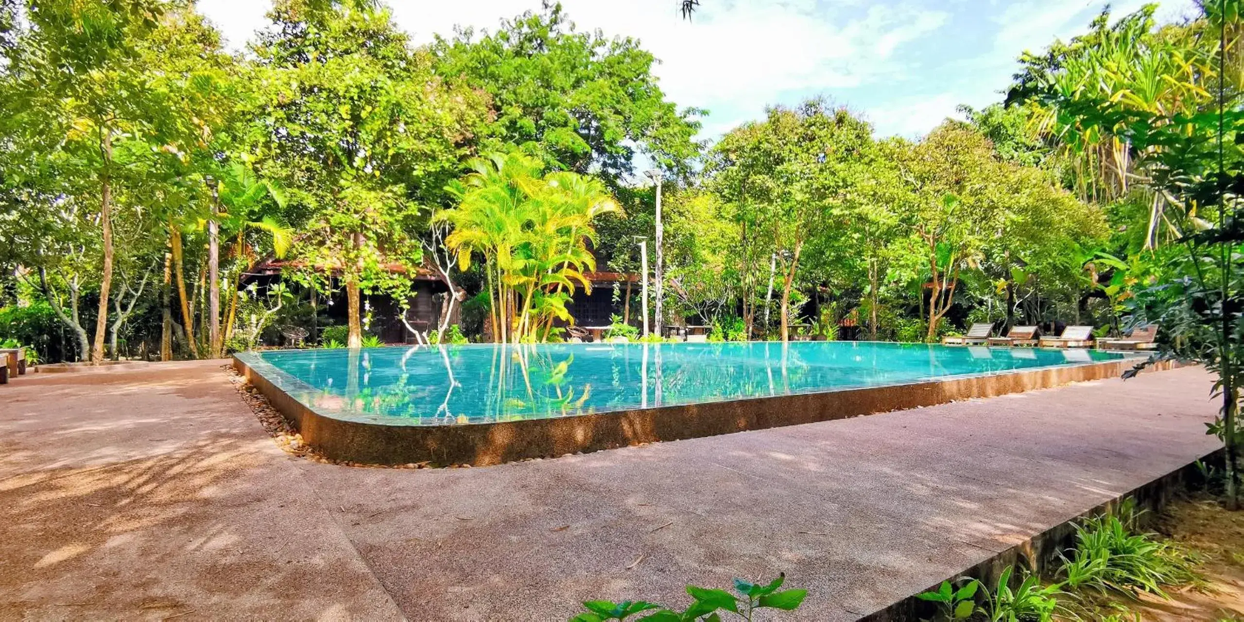 Pool view in Palm Village Resort & Spa Pool view in Palm Village Resort & Spa