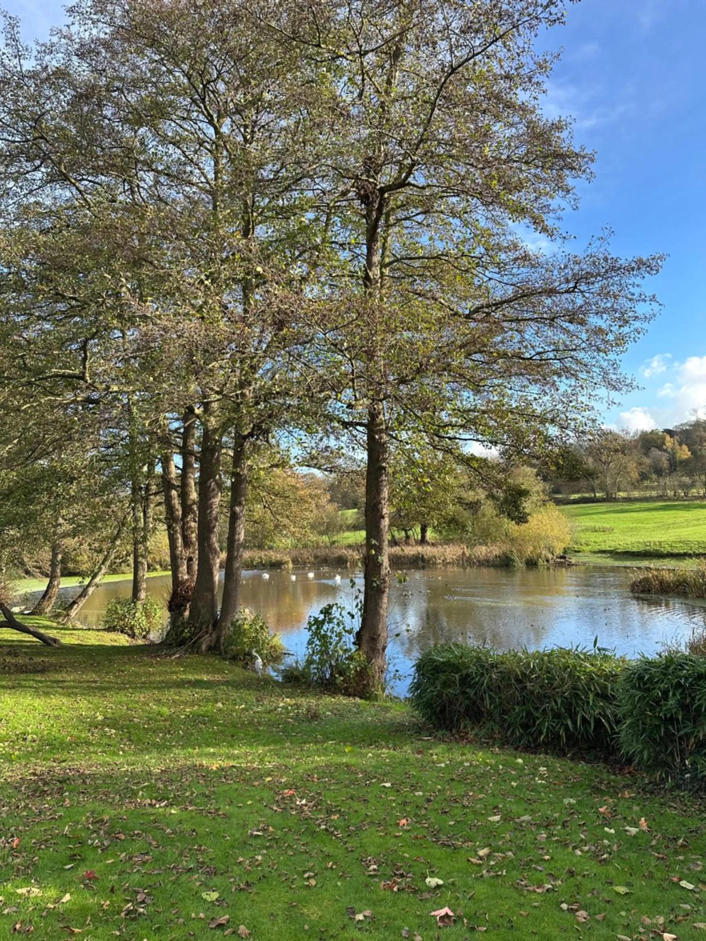 Fishing in Abbey Farm Bed And Breakfast