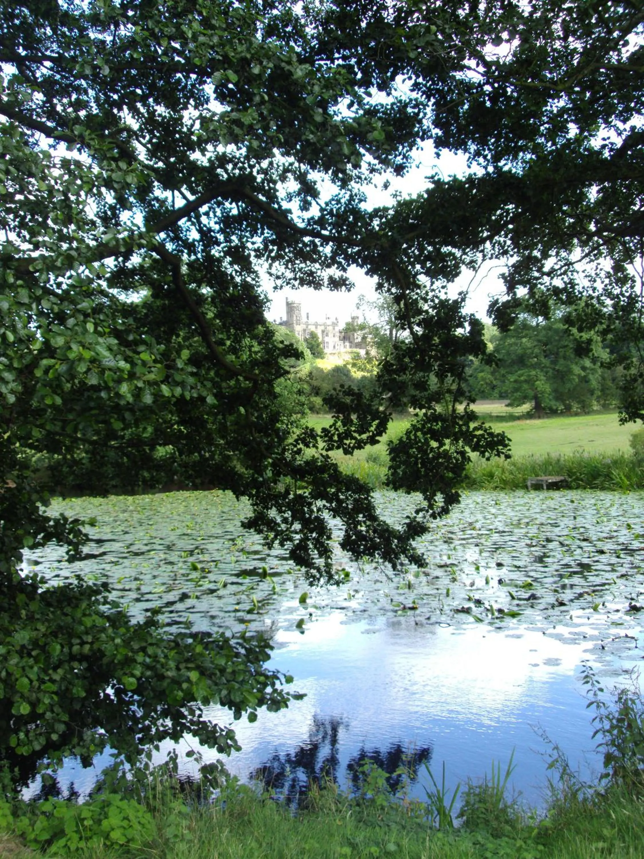 View (from property/room) in Abbey Farm Bed And Breakfast