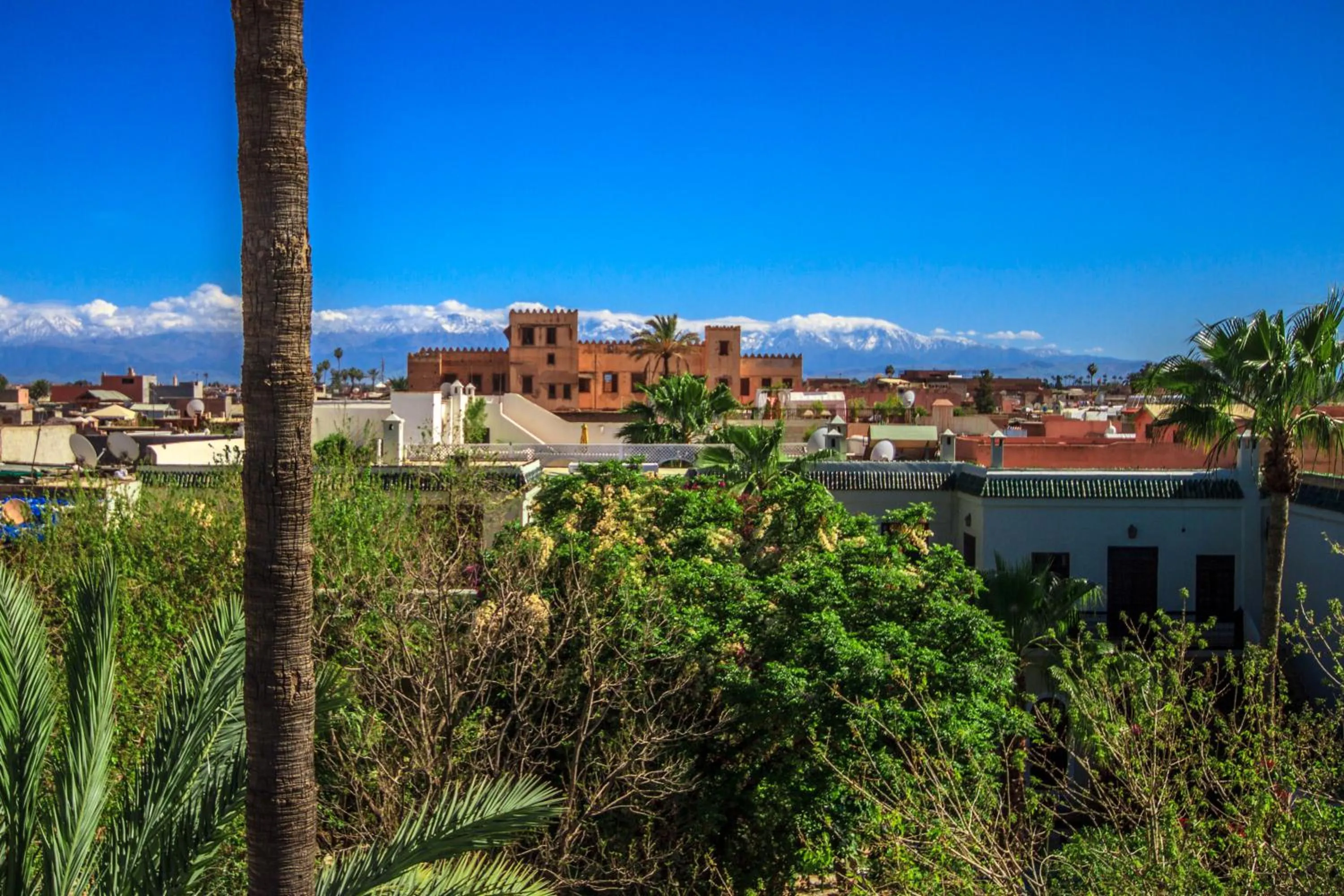Garden view in Palais El Arsat & Spa