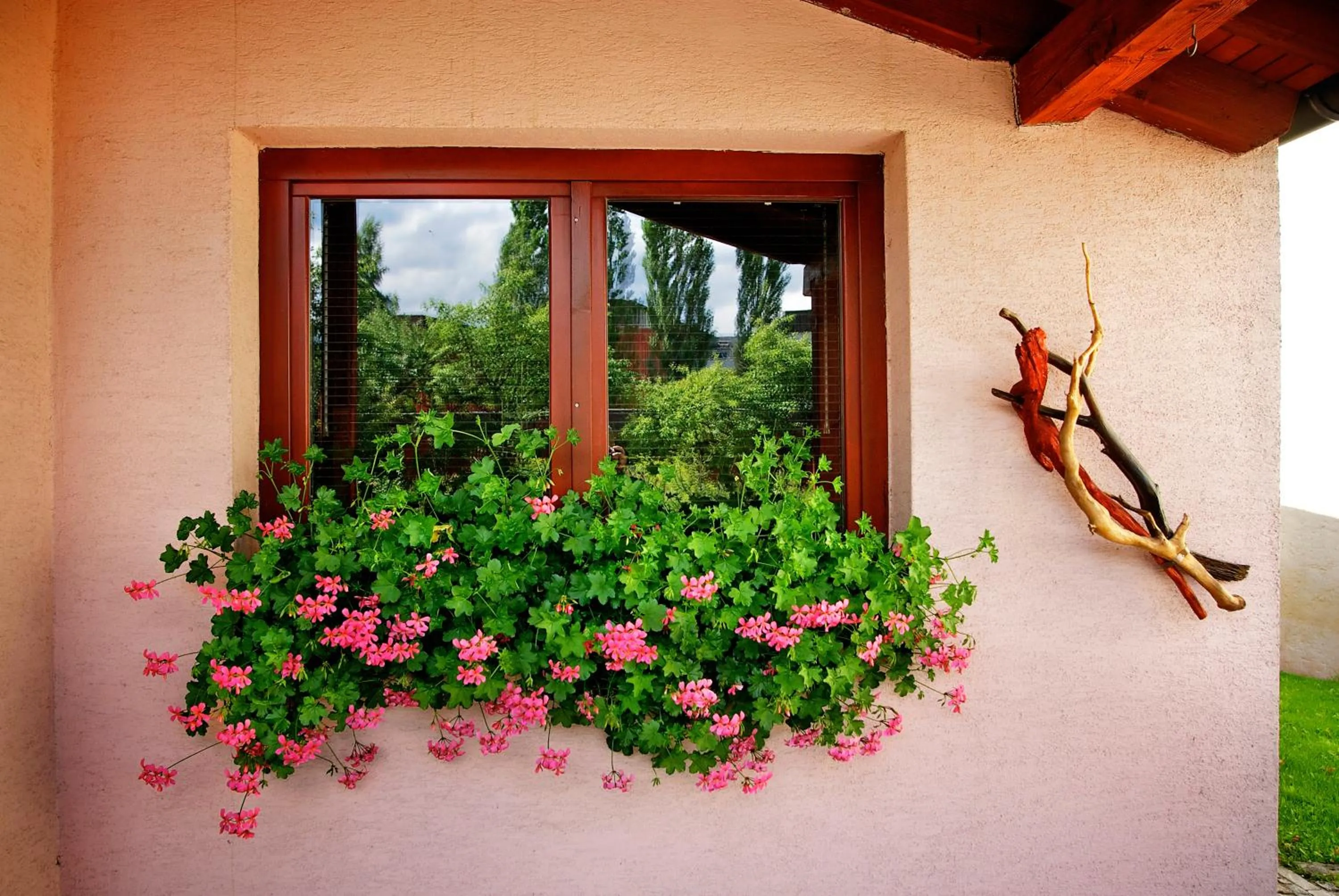 Facade/entrance in Penzion Plesnivec