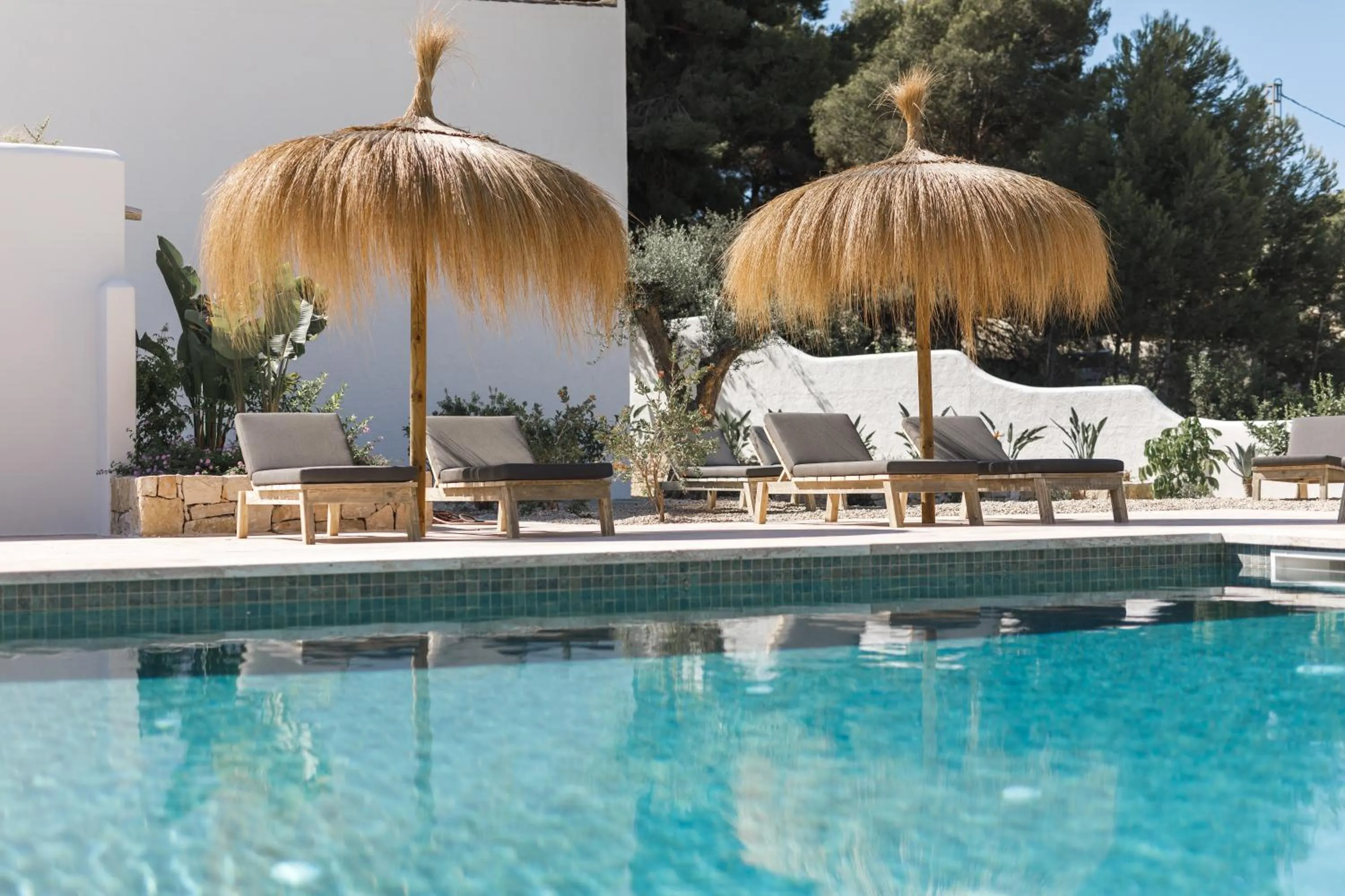 Garden in Boutique Hotel Los Limoneros