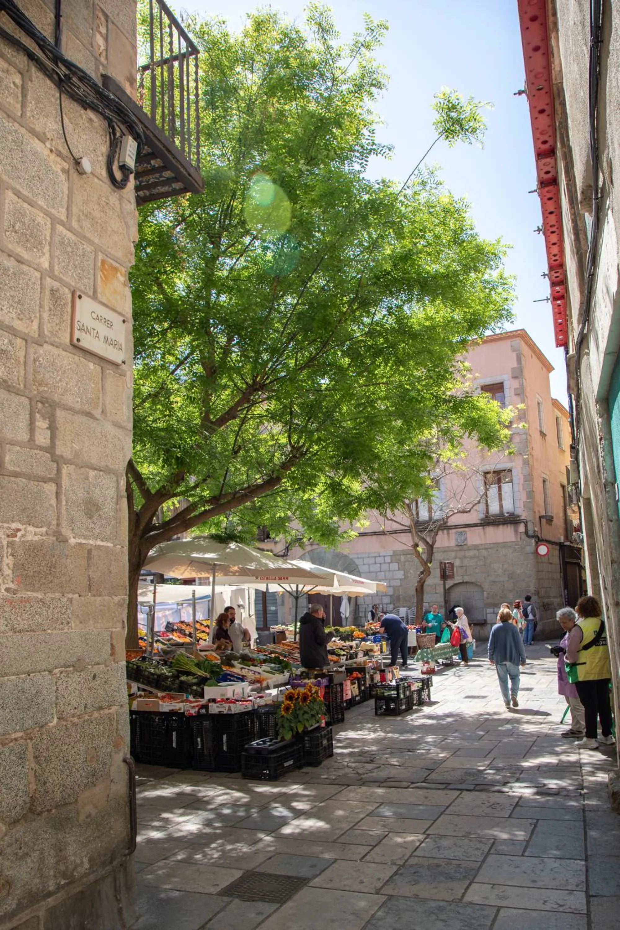 Neighbourhood in New Hotel Colon