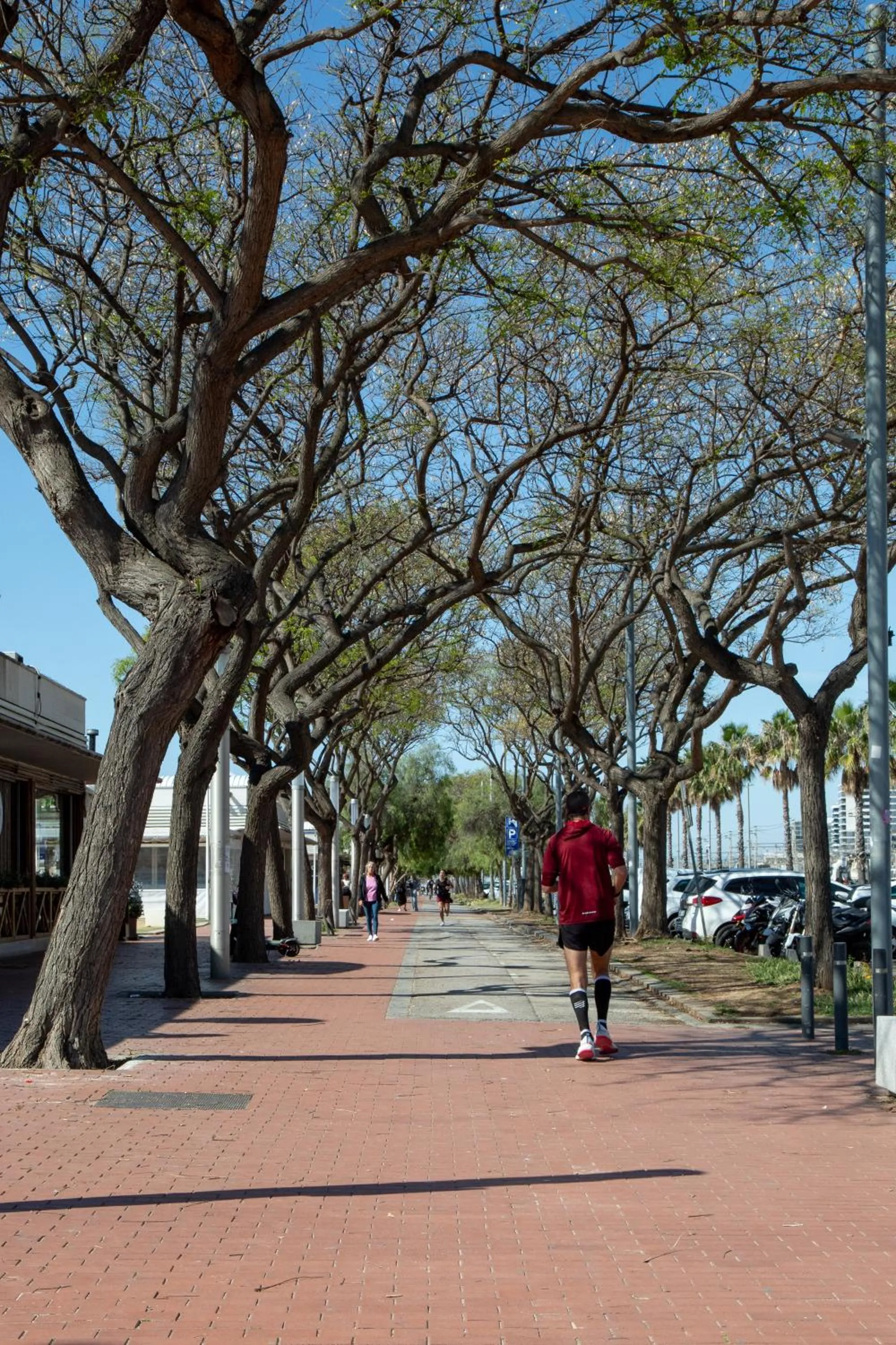 Spring in New Hotel Colon
