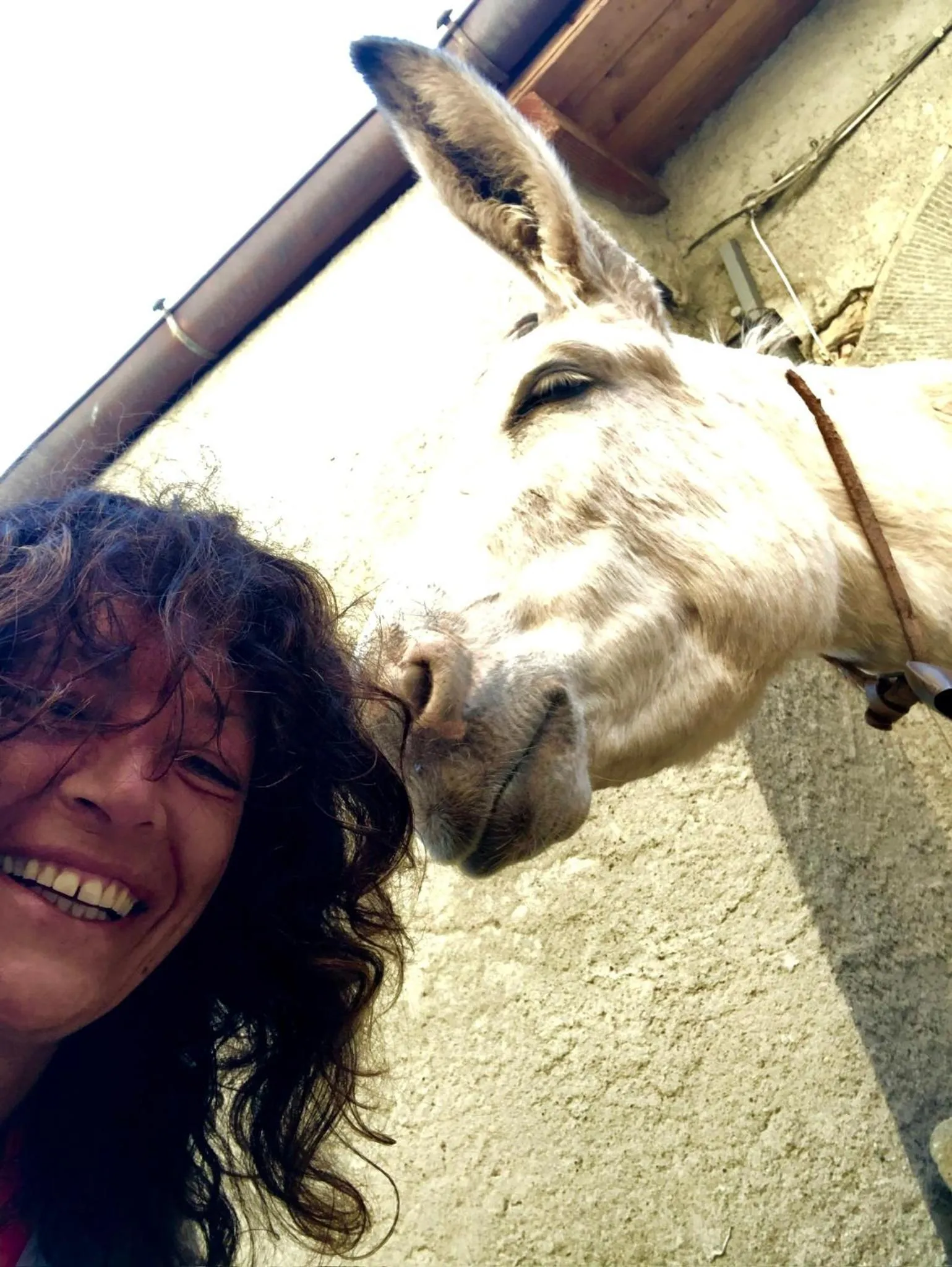 Staff in Viandanti, Artisti e Sognatori