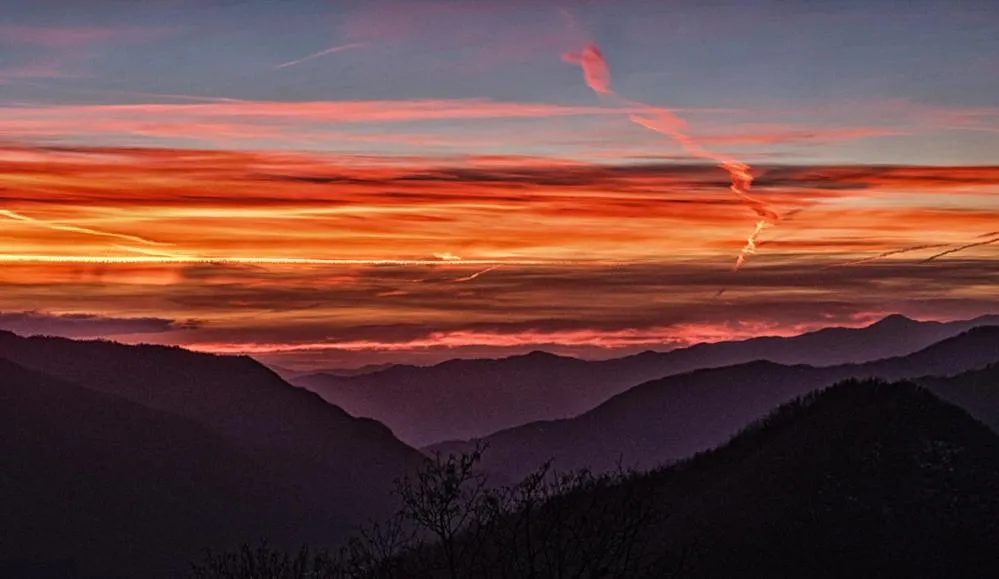 Viandanti, Artisti e Sognatori