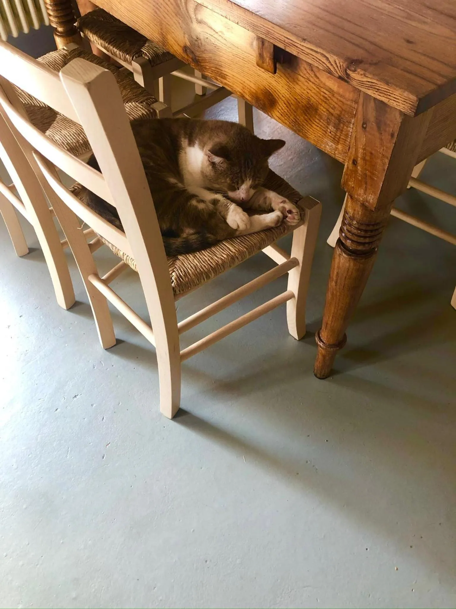 Animals in Viandanti, Artisti e Sognatori