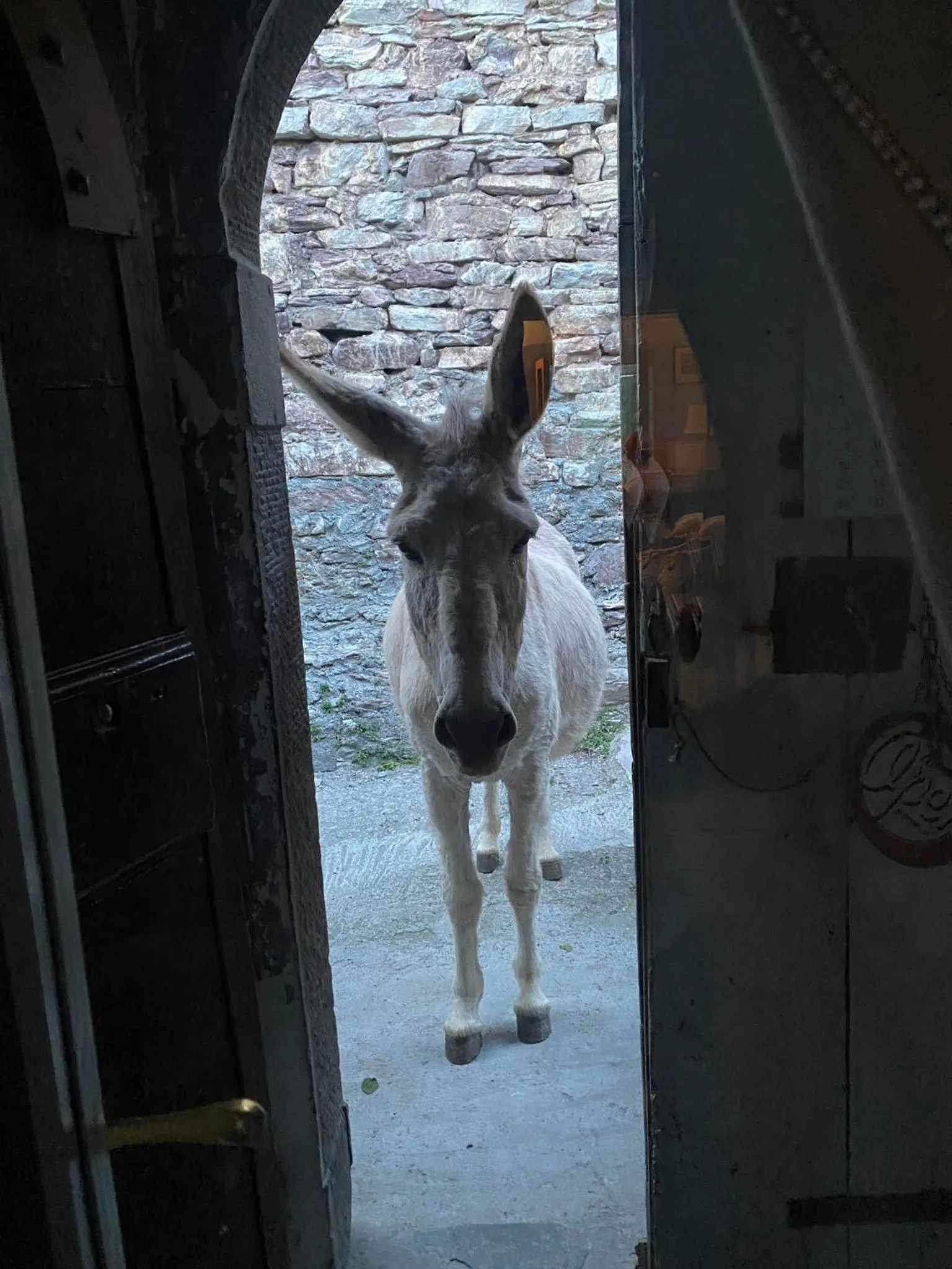 Animals in Viandanti, Artisti e Sognatori