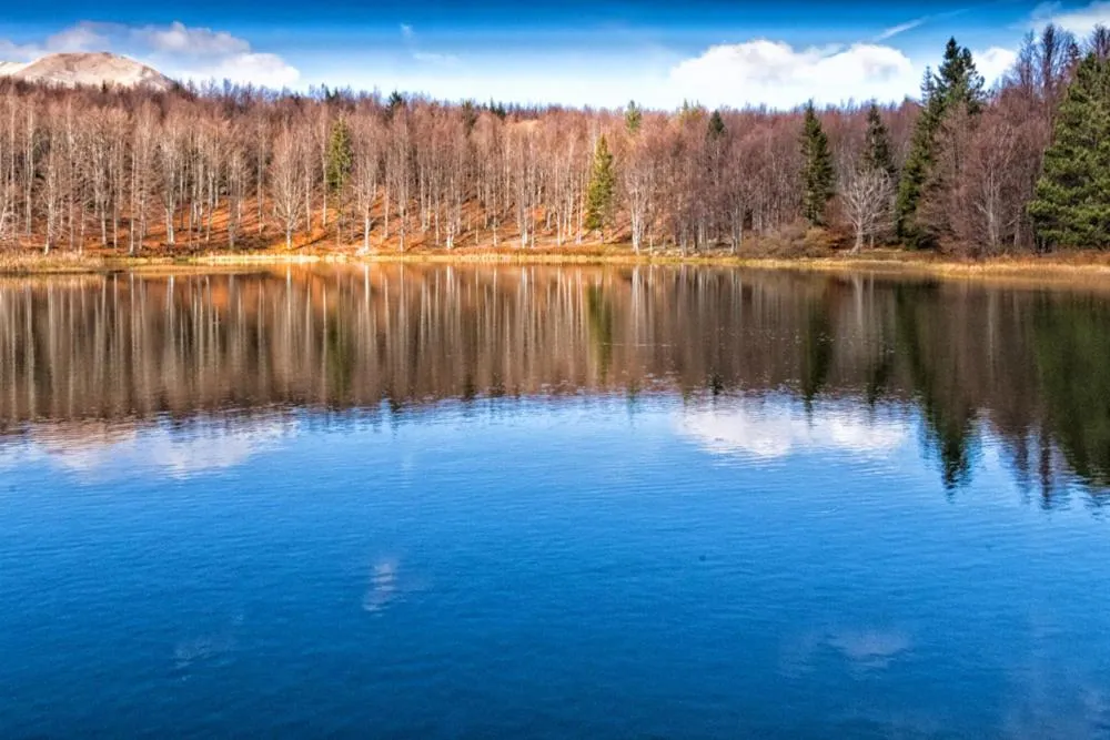 Viandanti, Artisti e Sognatori