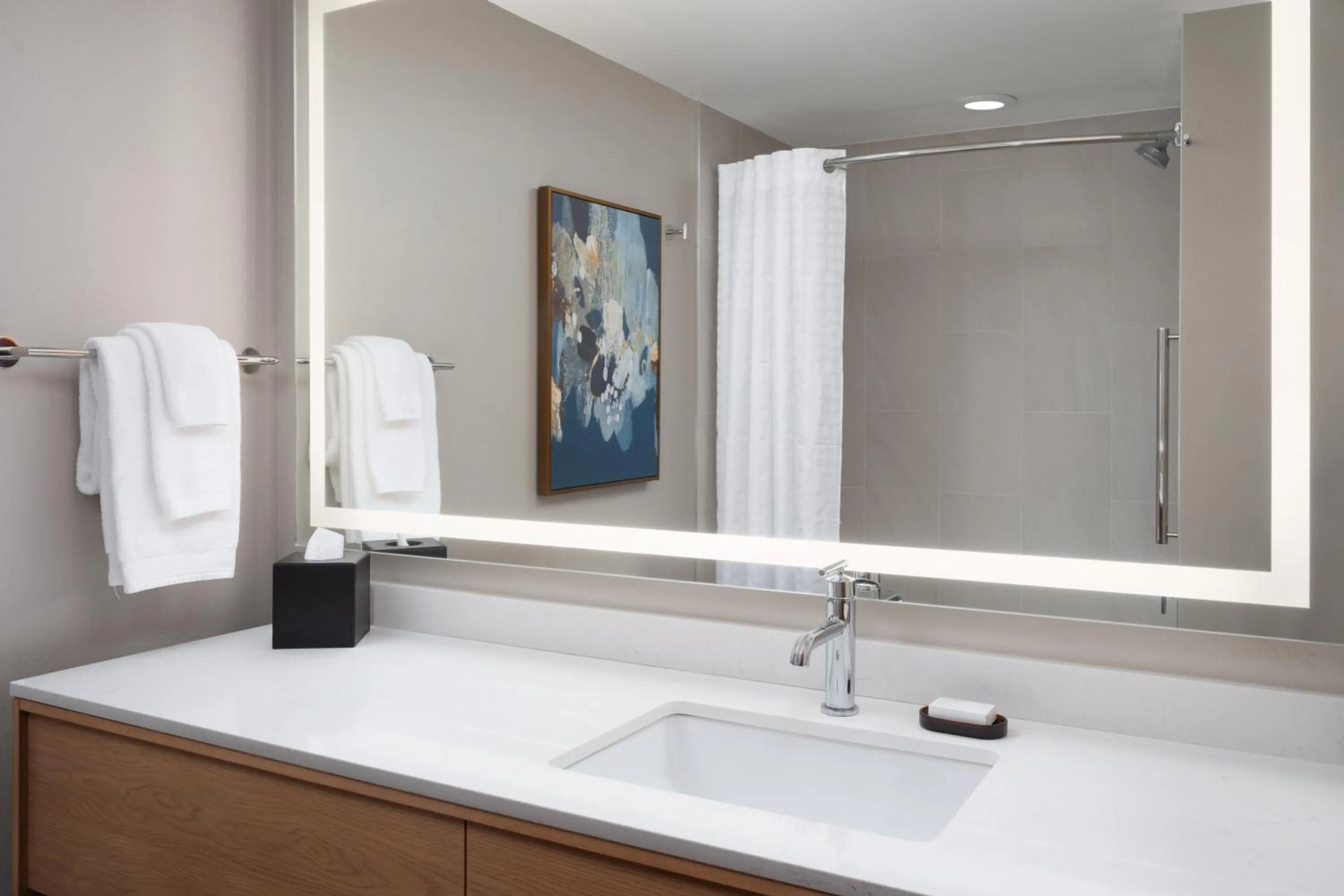 Bathroom in Embassy Suites by Hilton Franklin Cool Spring