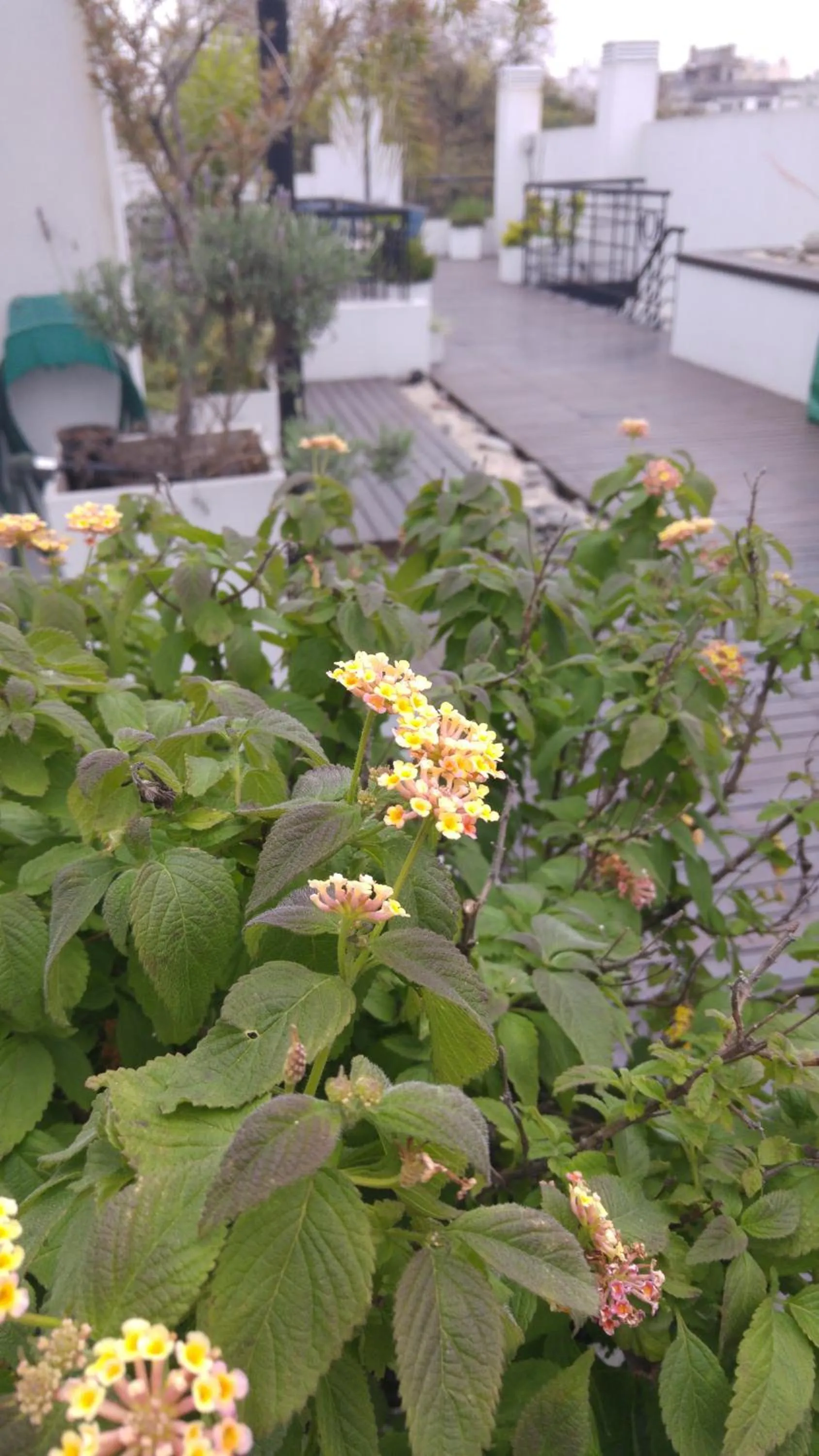 Balcony/Terrace in Telmho Hotel Boutique