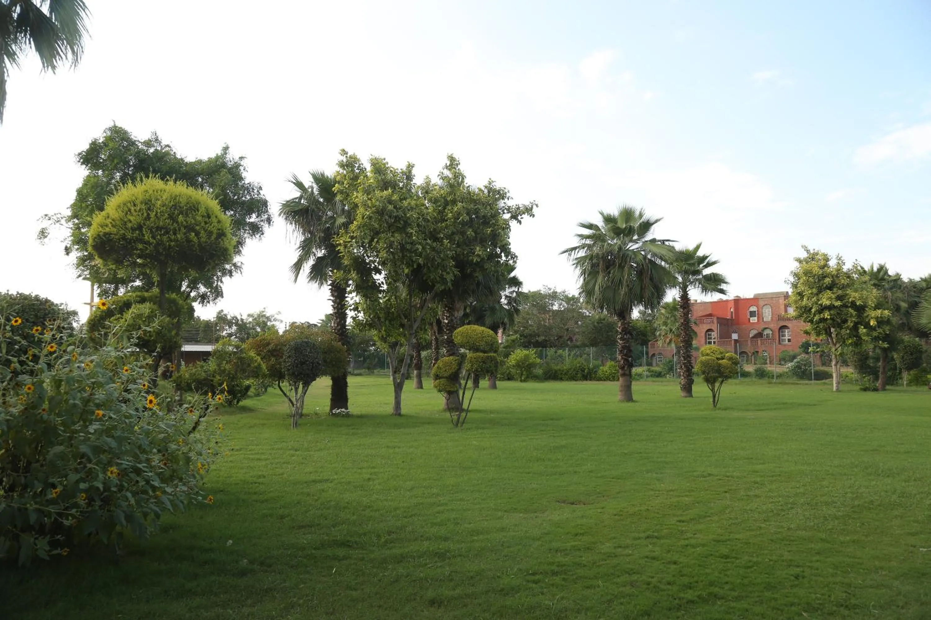 Natural landscape in Magsons Resorts