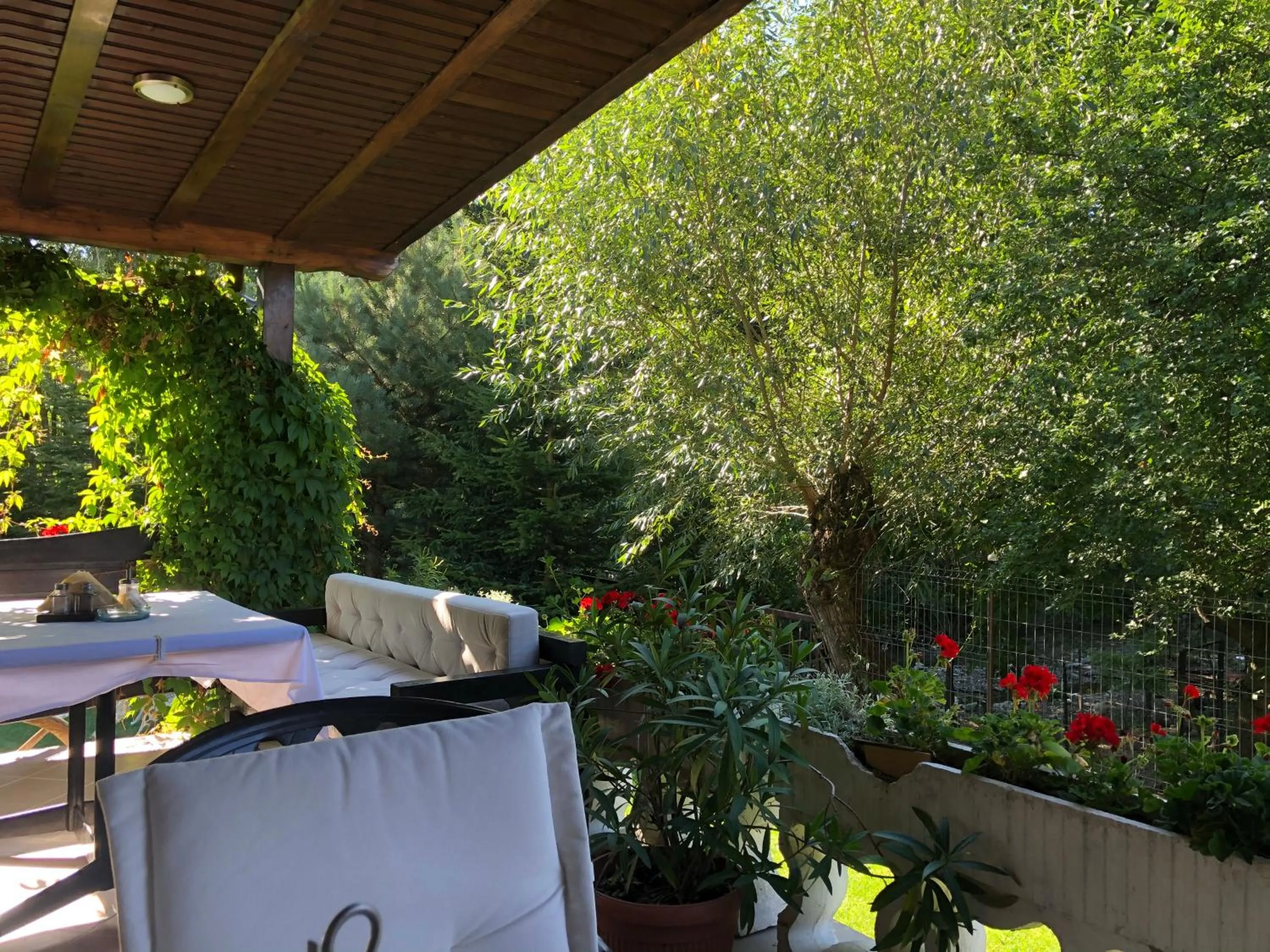 River view in Hotel boutique Garden Resort by Brancoveanu