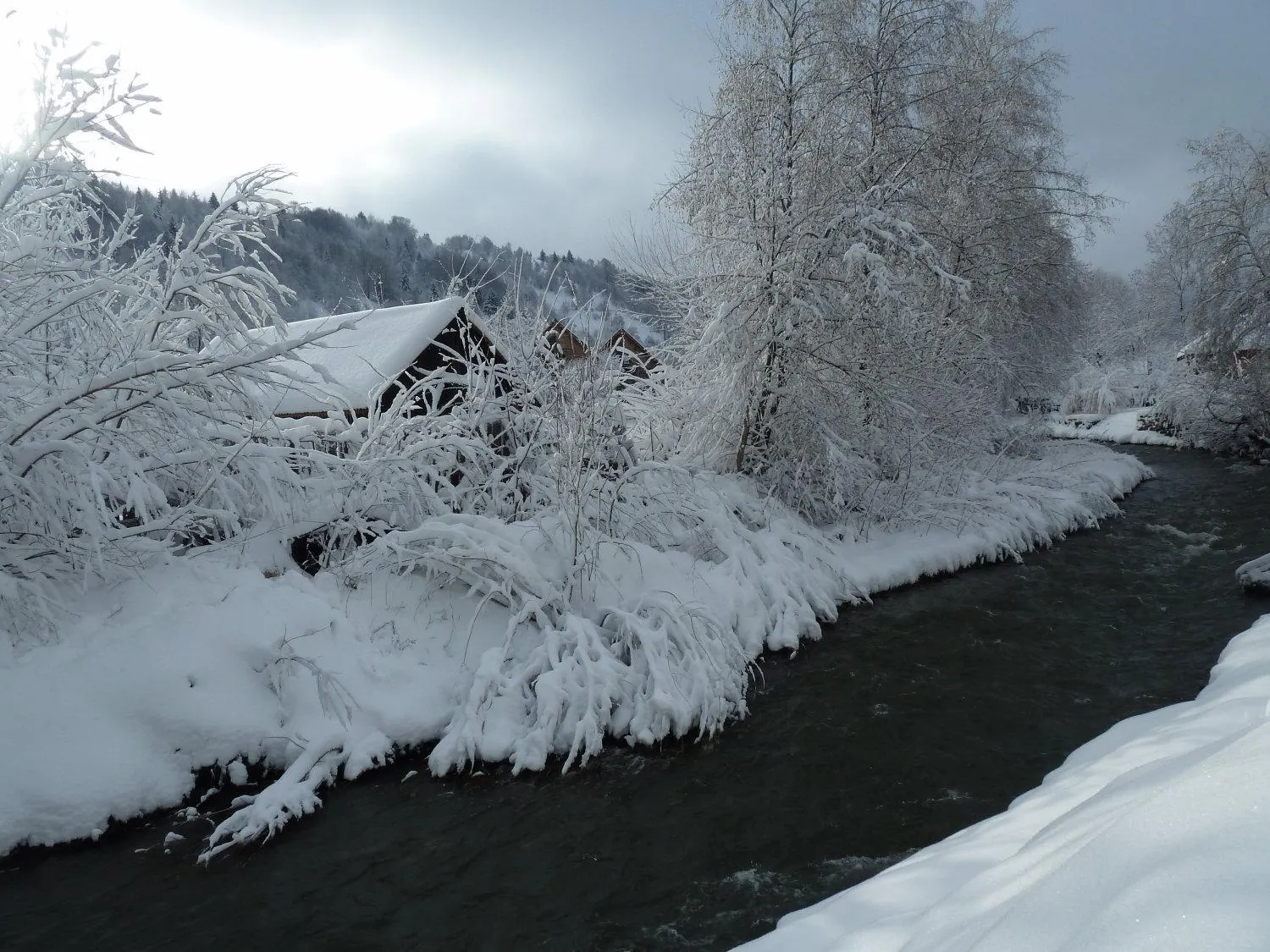 Area and facilities in Hotel boutique Garden Resort by Brancoveanu