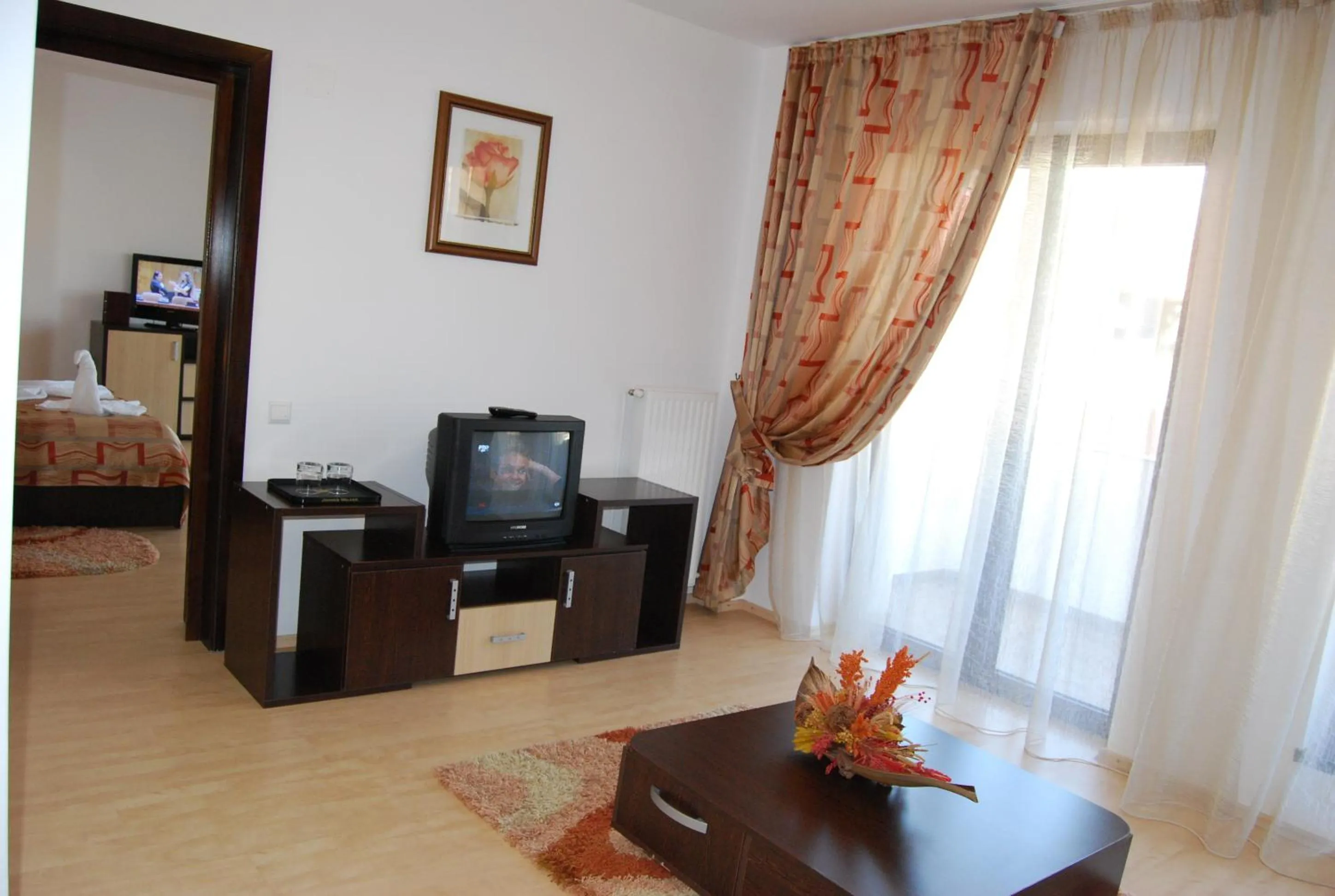 TV and multimedia in Hotel boutique Garden Resort by Brancoveanu