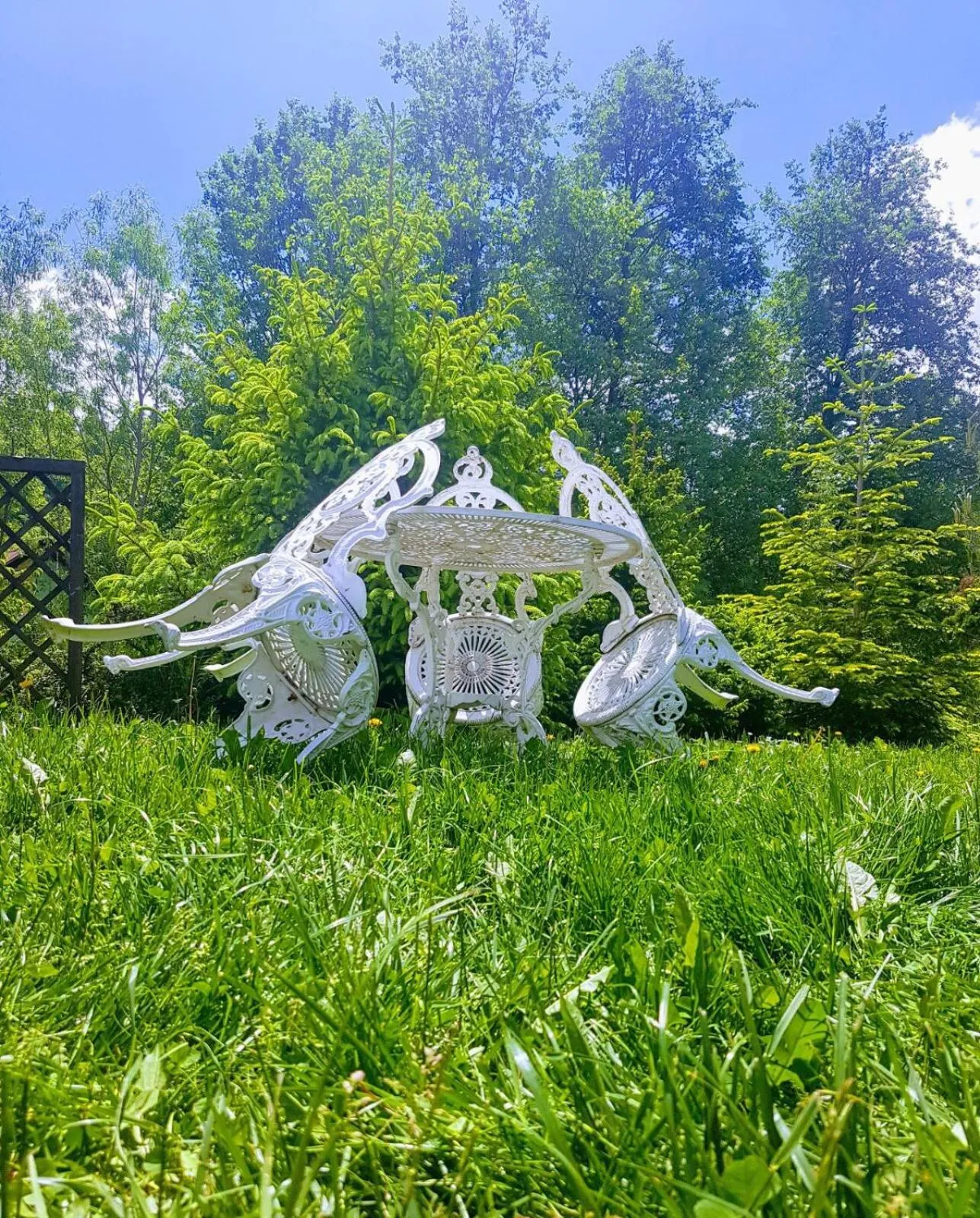 Garden in Hotel boutique Garden Resort by Brancoveanu