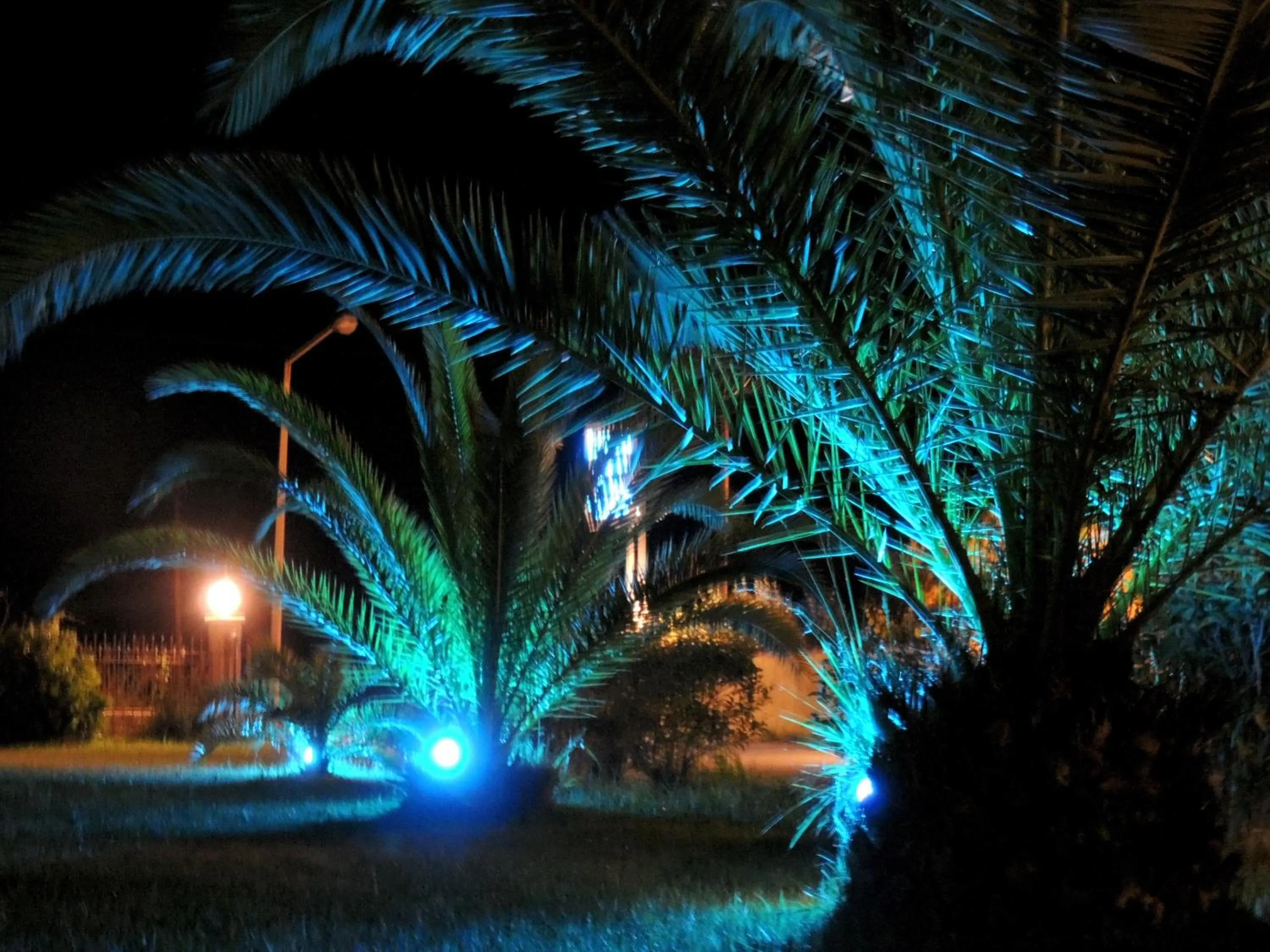 Garden in Imerti Resort Hotel