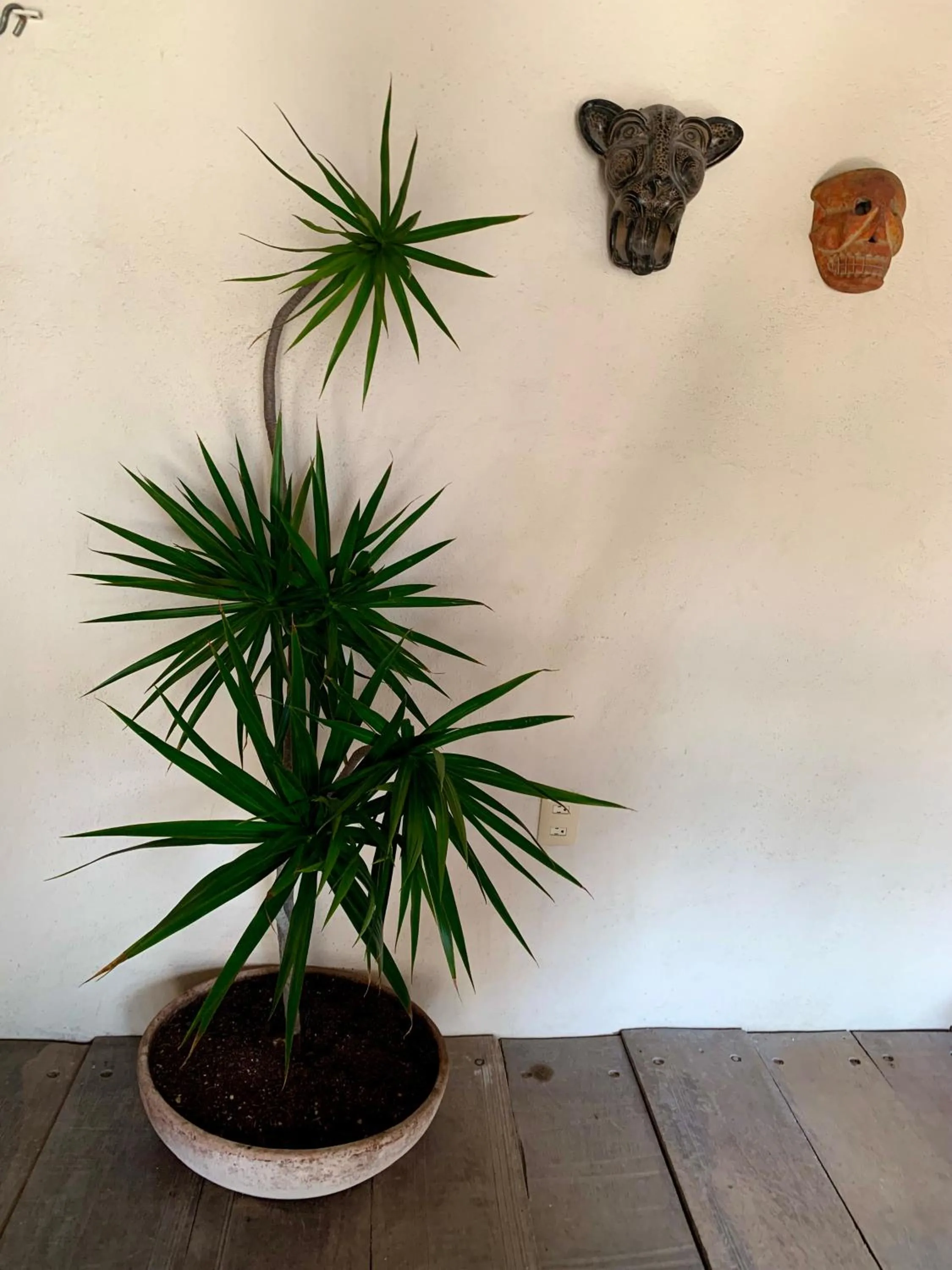 Lo Nuestro Petit Hotel Tulum