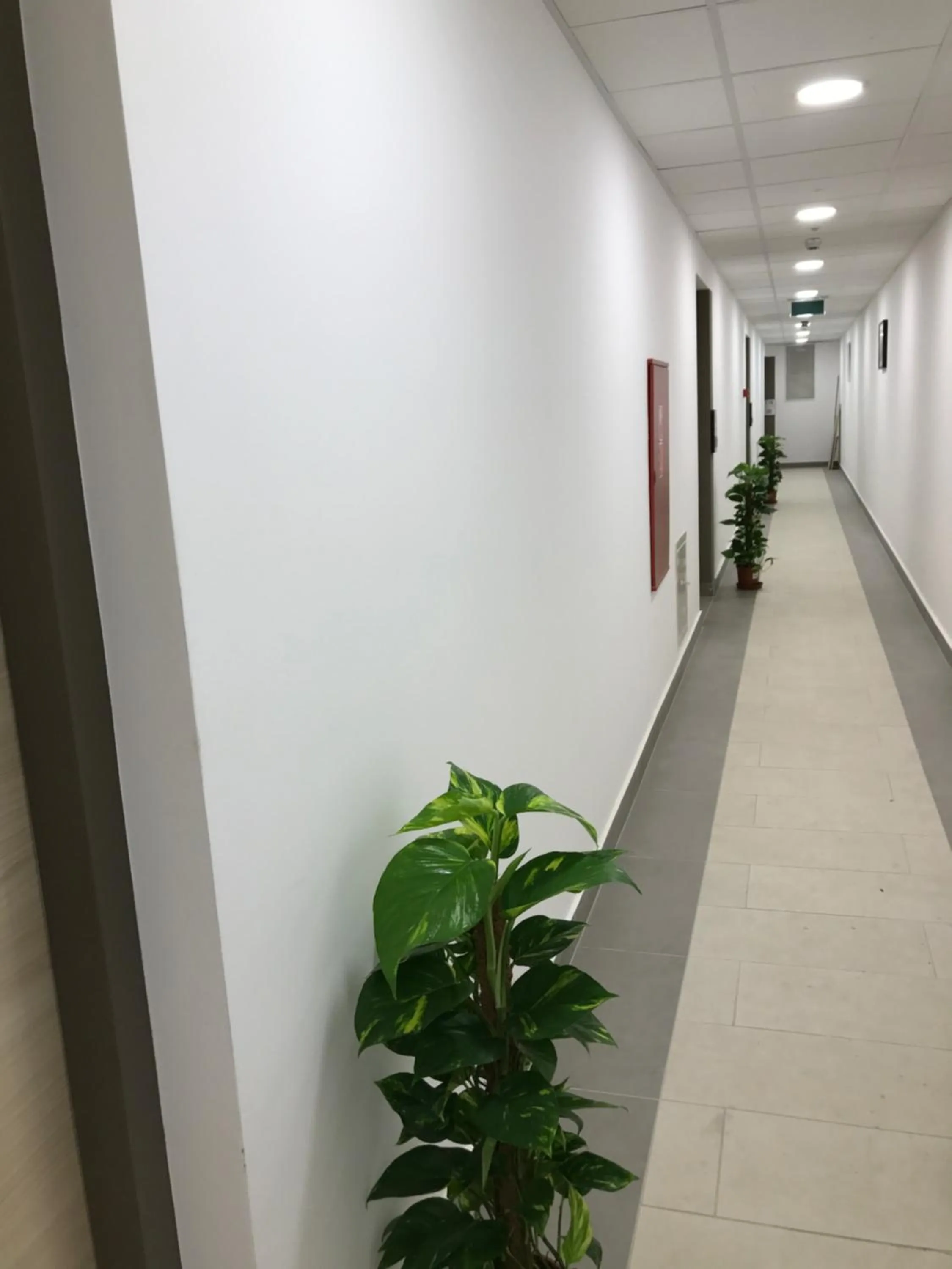 Area and facilities in Corvin Rose Apartment Hotel