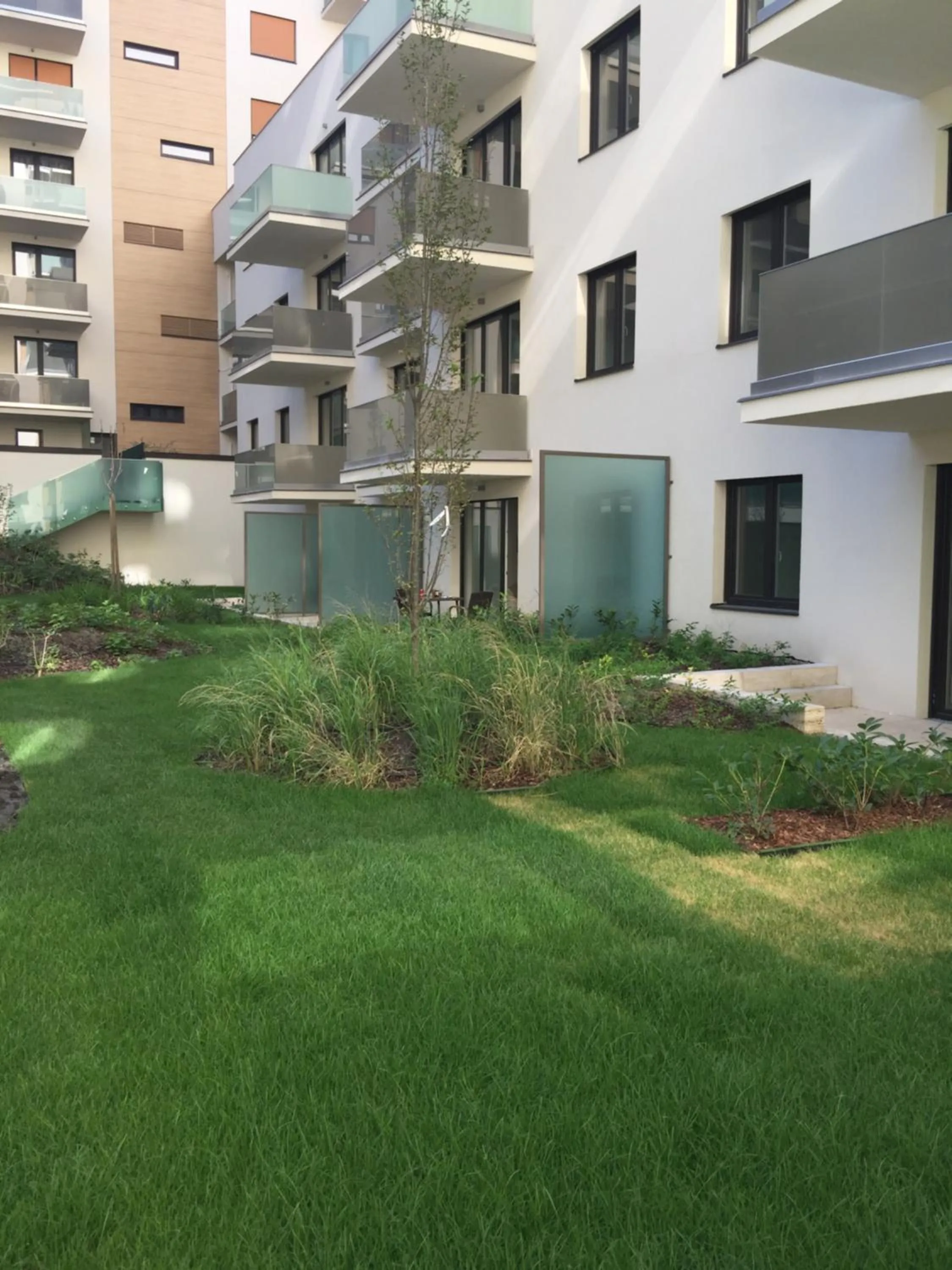 Garden in Corvin Rose Apartment Hotel