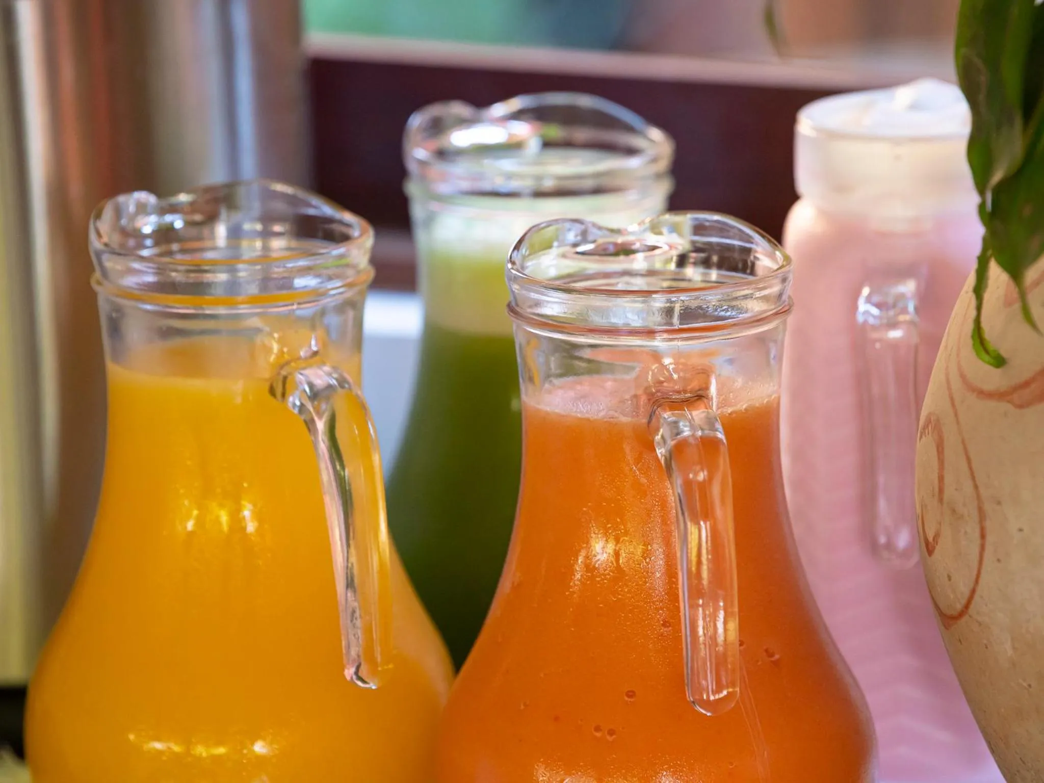 Drinks in Pousada Atiaia