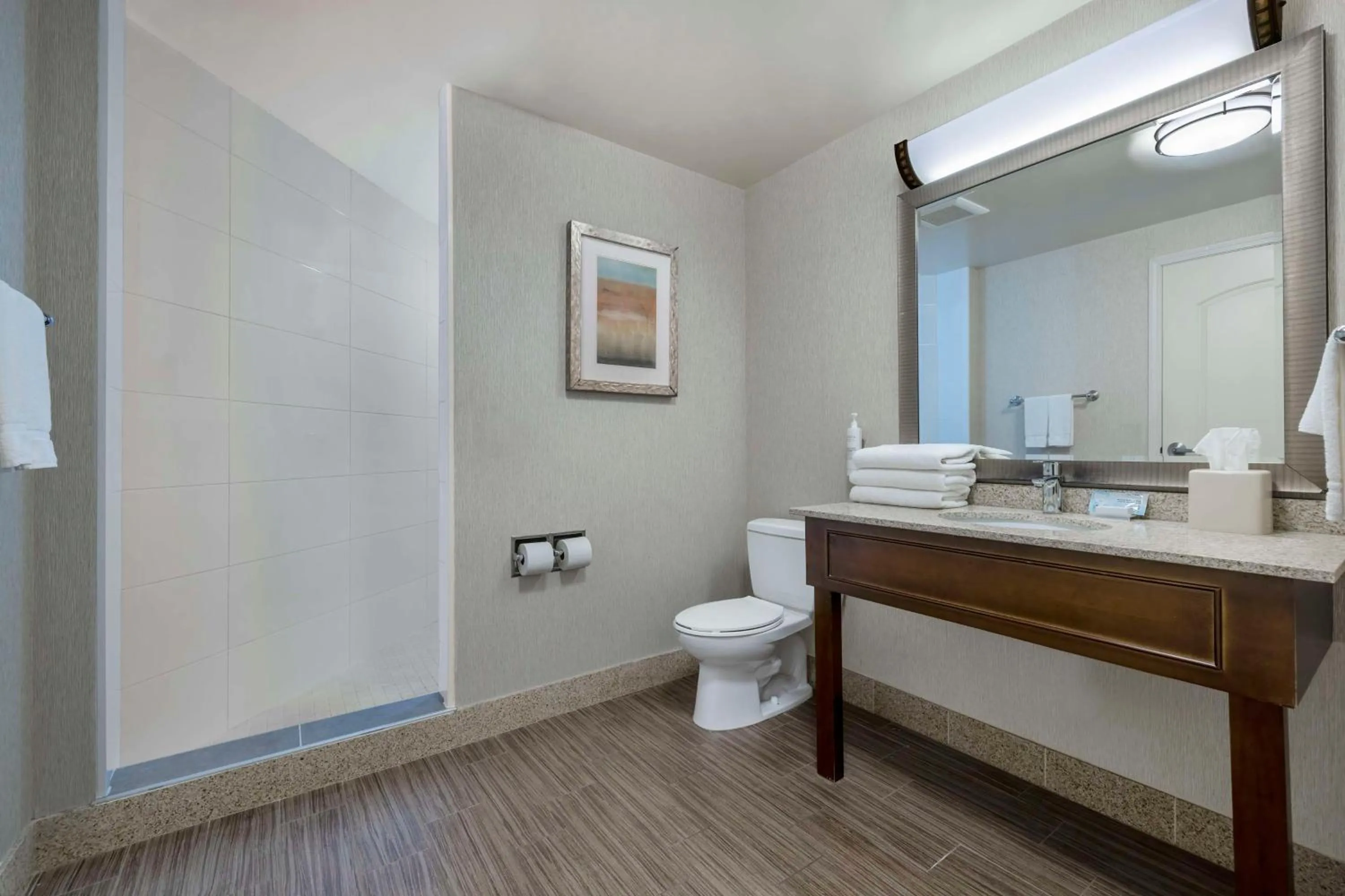 Bathroom in Hilton Garden Inn Boise Spectrum