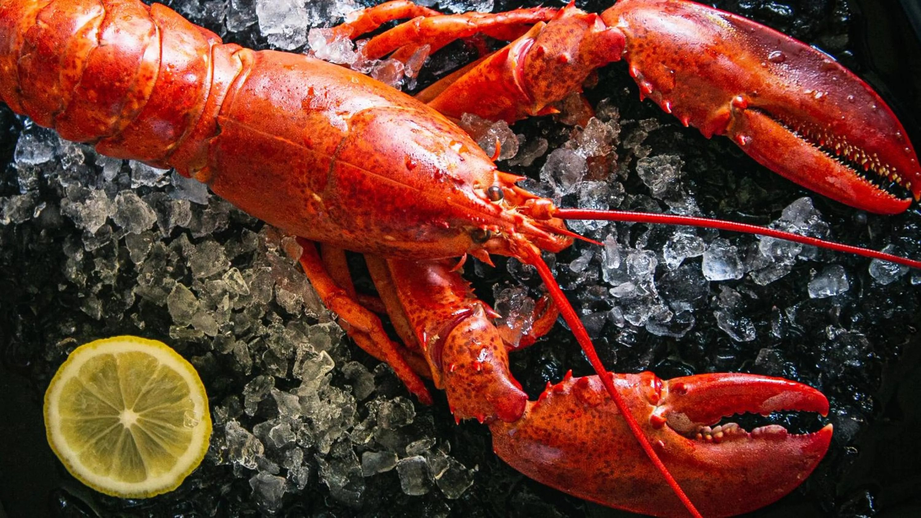 Restaurant/places to eat in Holiday Inn Resort Sanya Bay by IHG