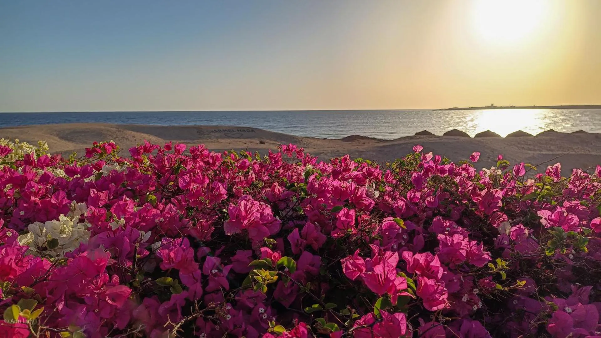 Sharm El Naga Resort and Diving Center