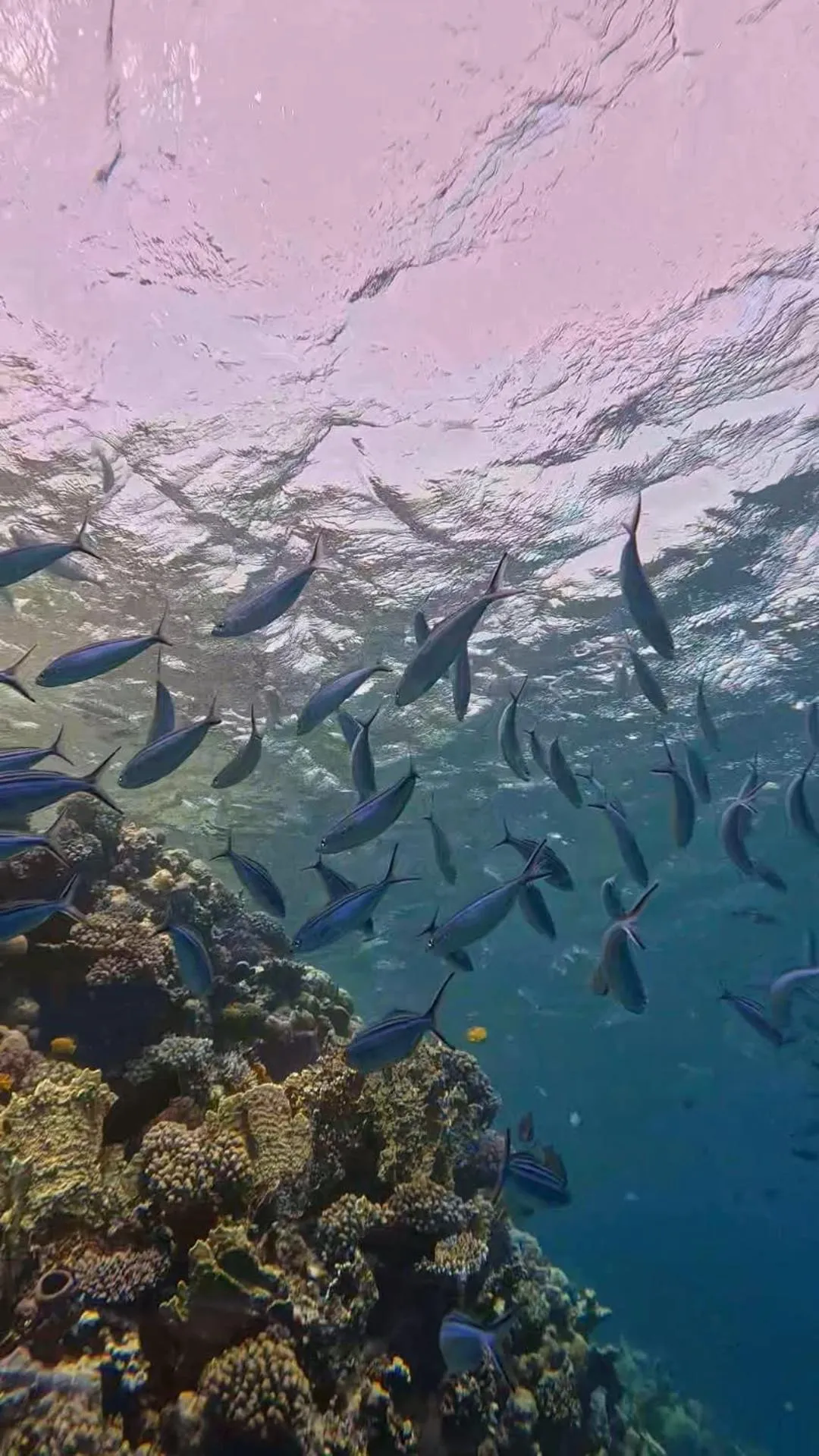 Sharm El Naga Resort and Diving Center