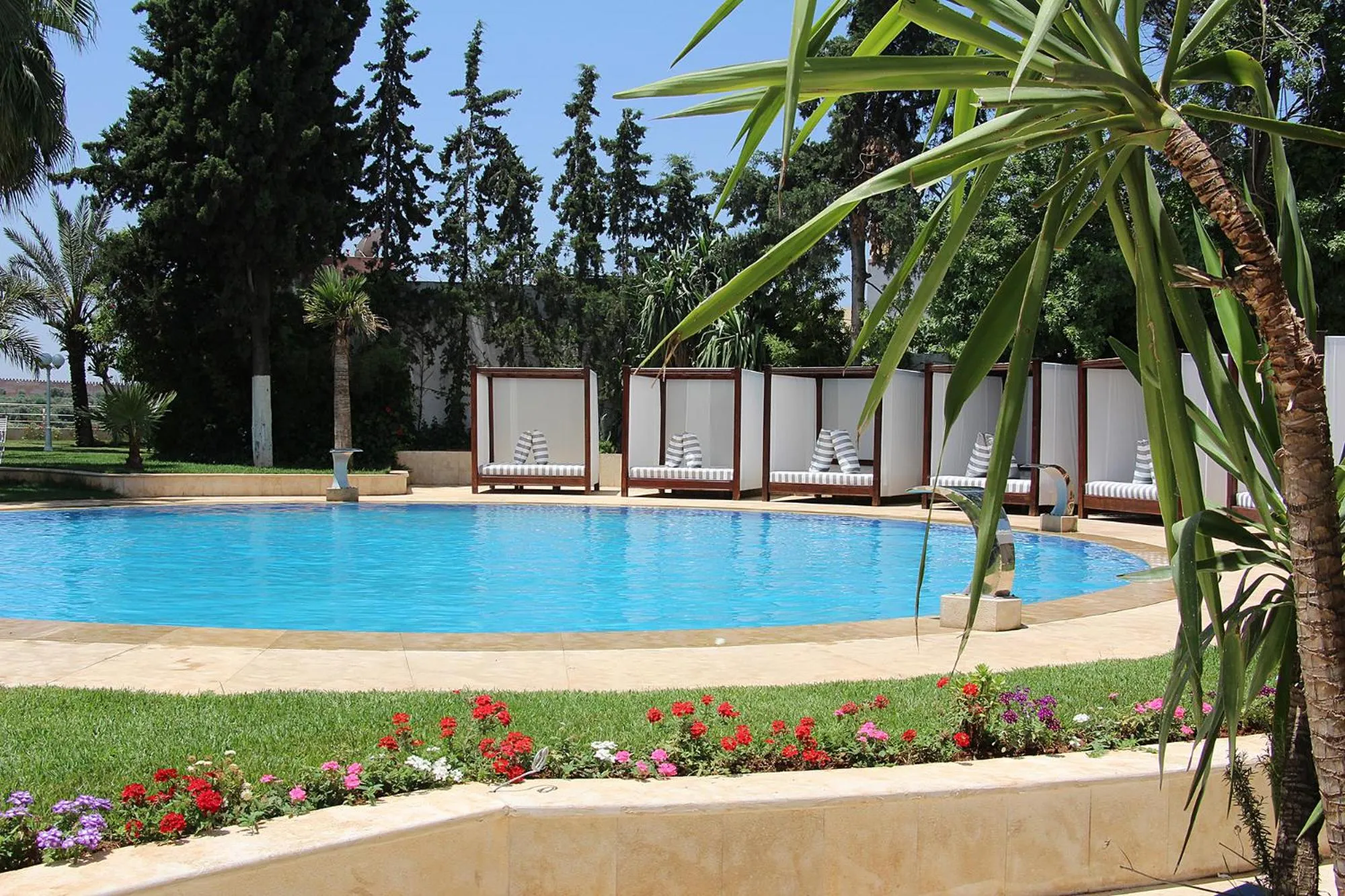 Garden in Zaki Hotel