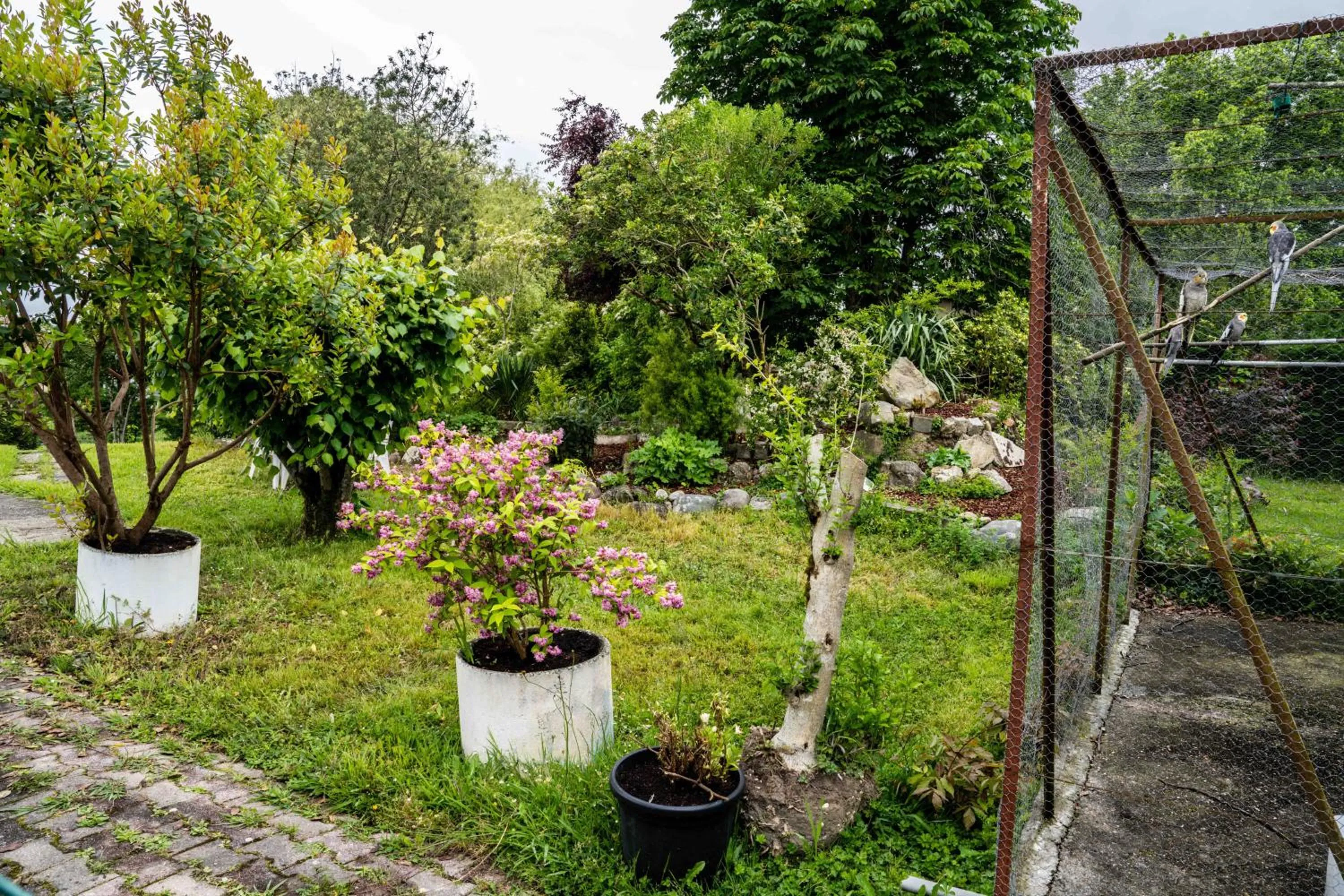 Garden in Logis Hôtel La crémaillère