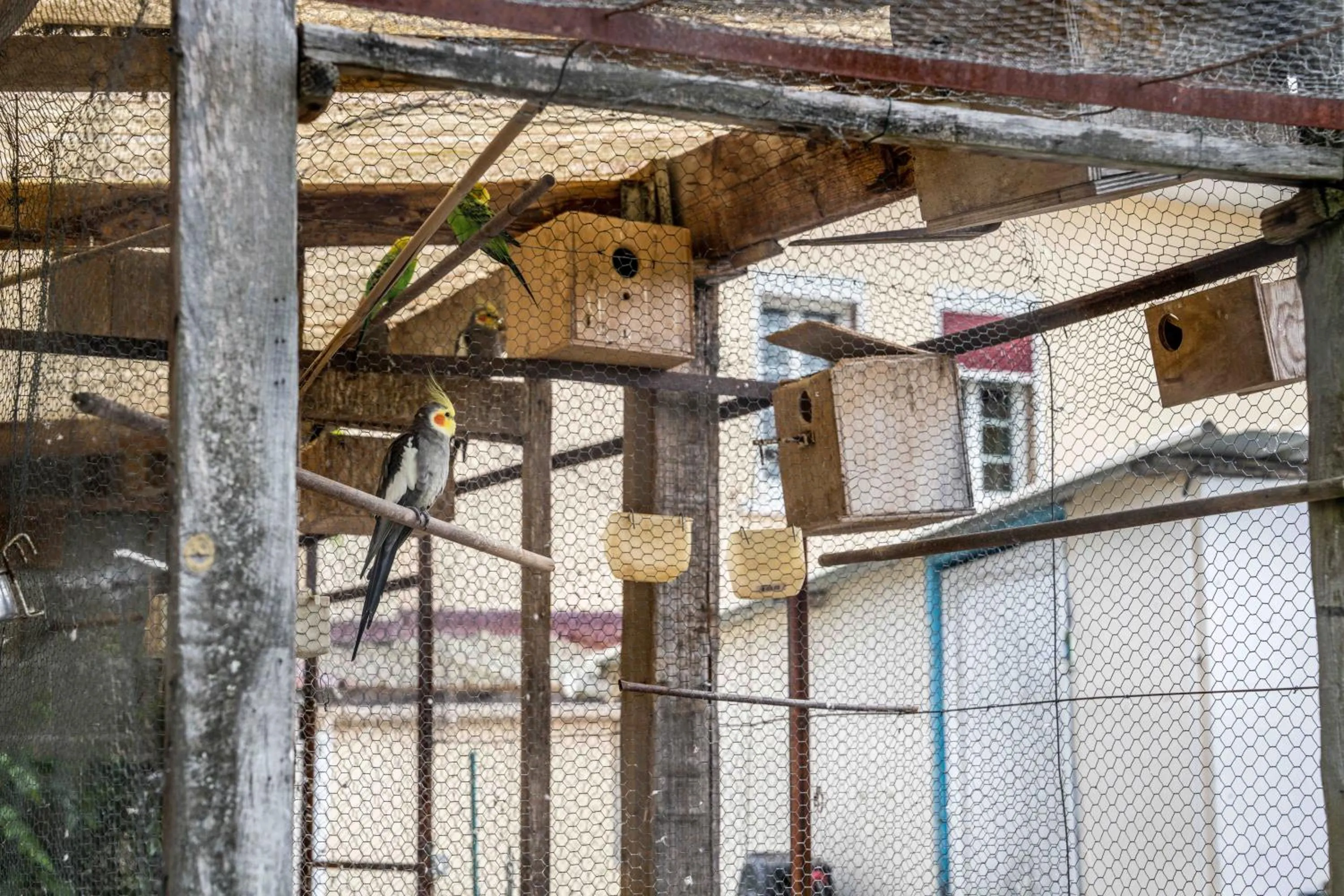 Day in Logis Hôtel La crémaillère