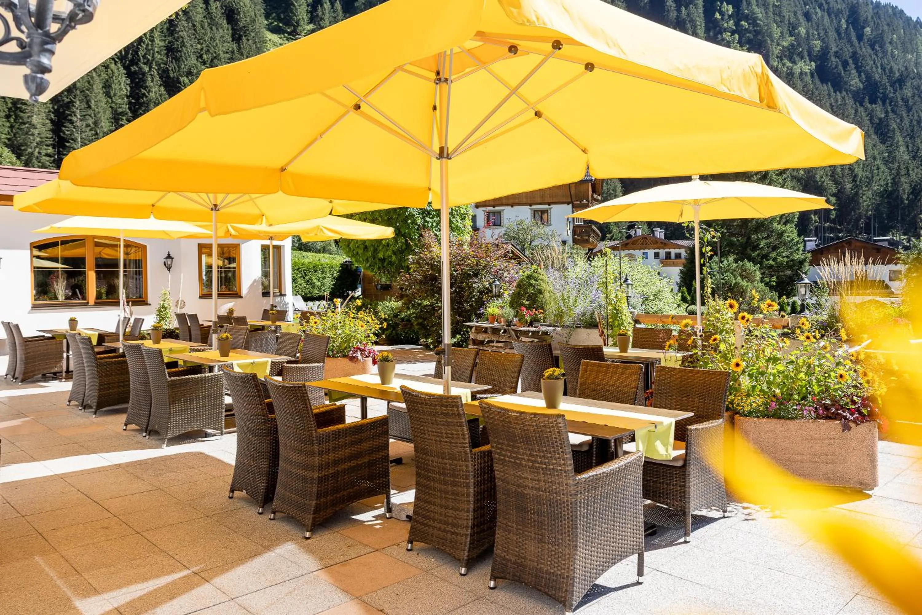 Balcony/Terrace in Aktiv & Vitalhotel Bergcristall