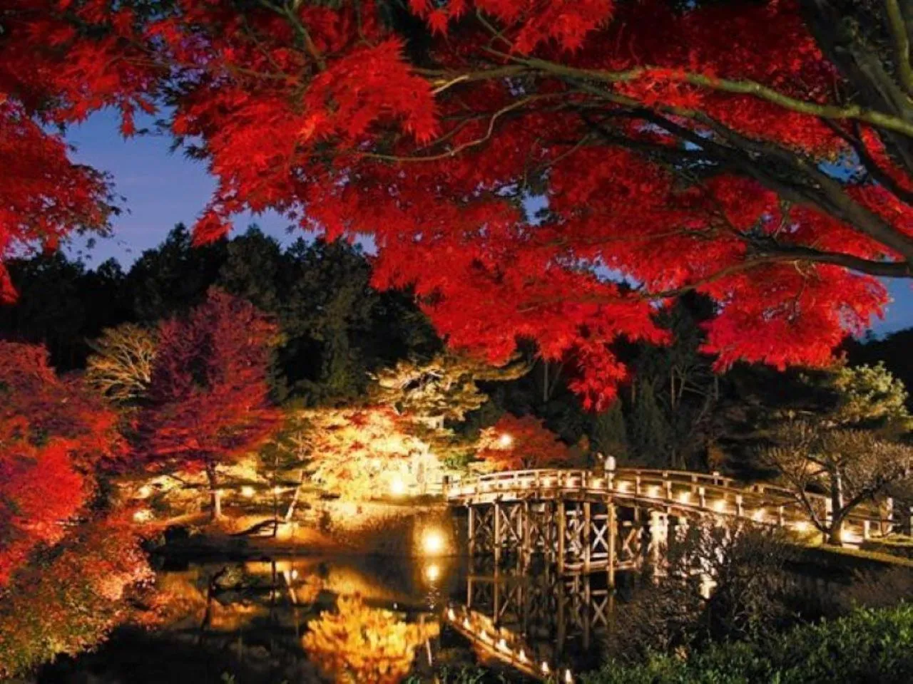 Nearby landmark in Yukairo Kikuya