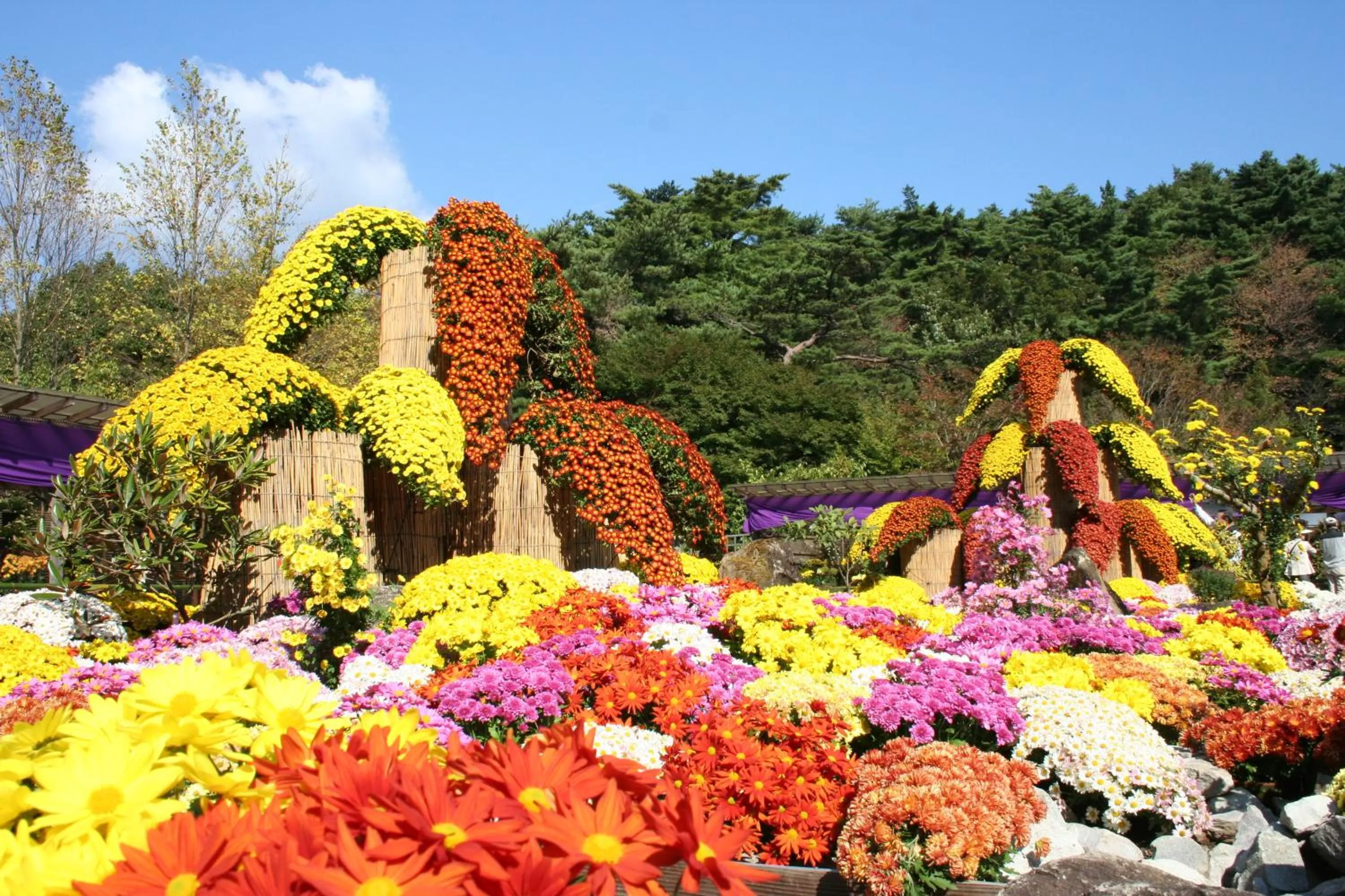 Nearby landmark in Yukairo Kikuya