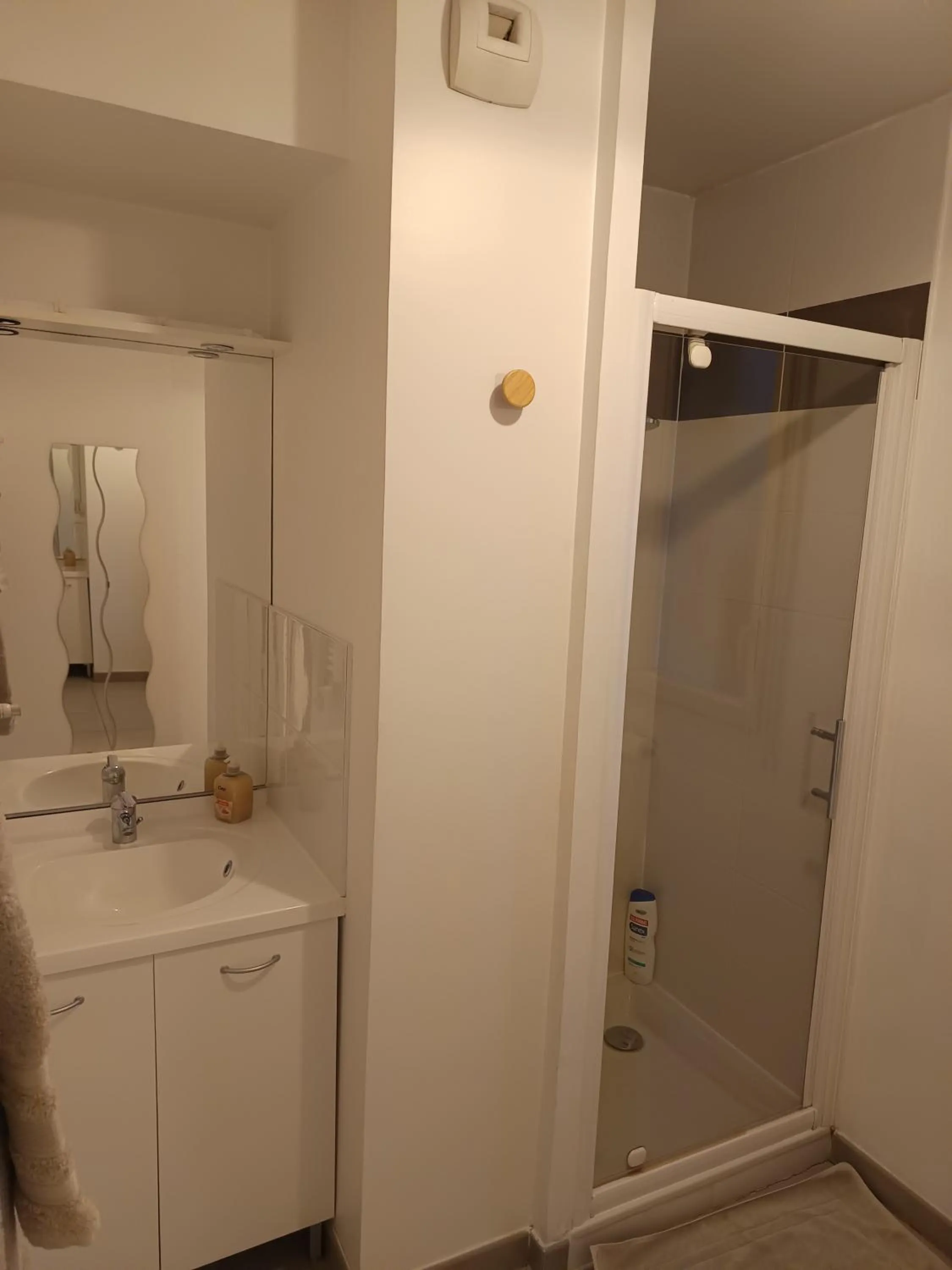 Villa'vi Lyon Est Chambres d'Hôtes