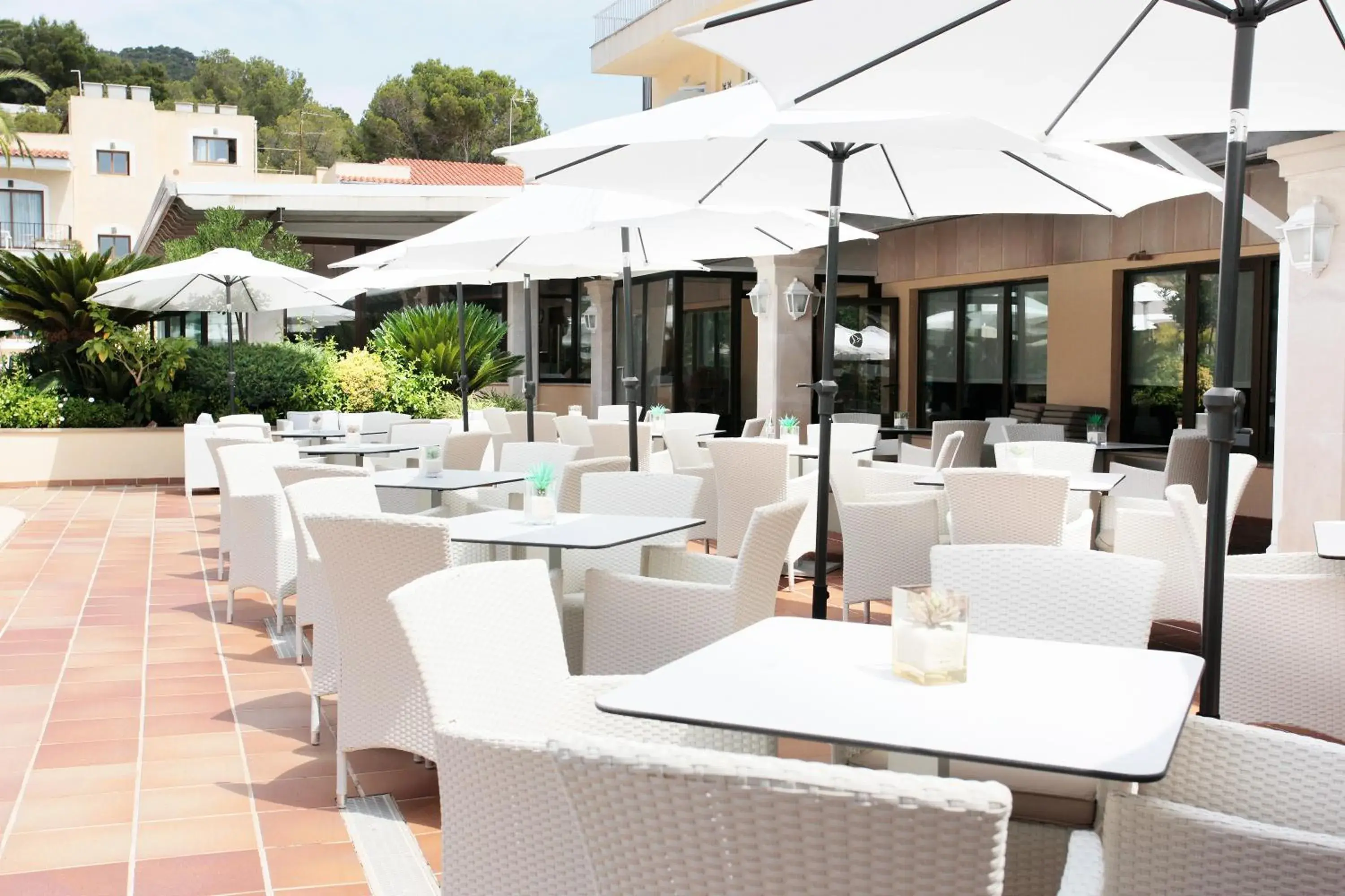 Restaurant/places to eat in Grupotel Nilo & Spa Restaurant/places to eat in Grupotel Nilo & Spa