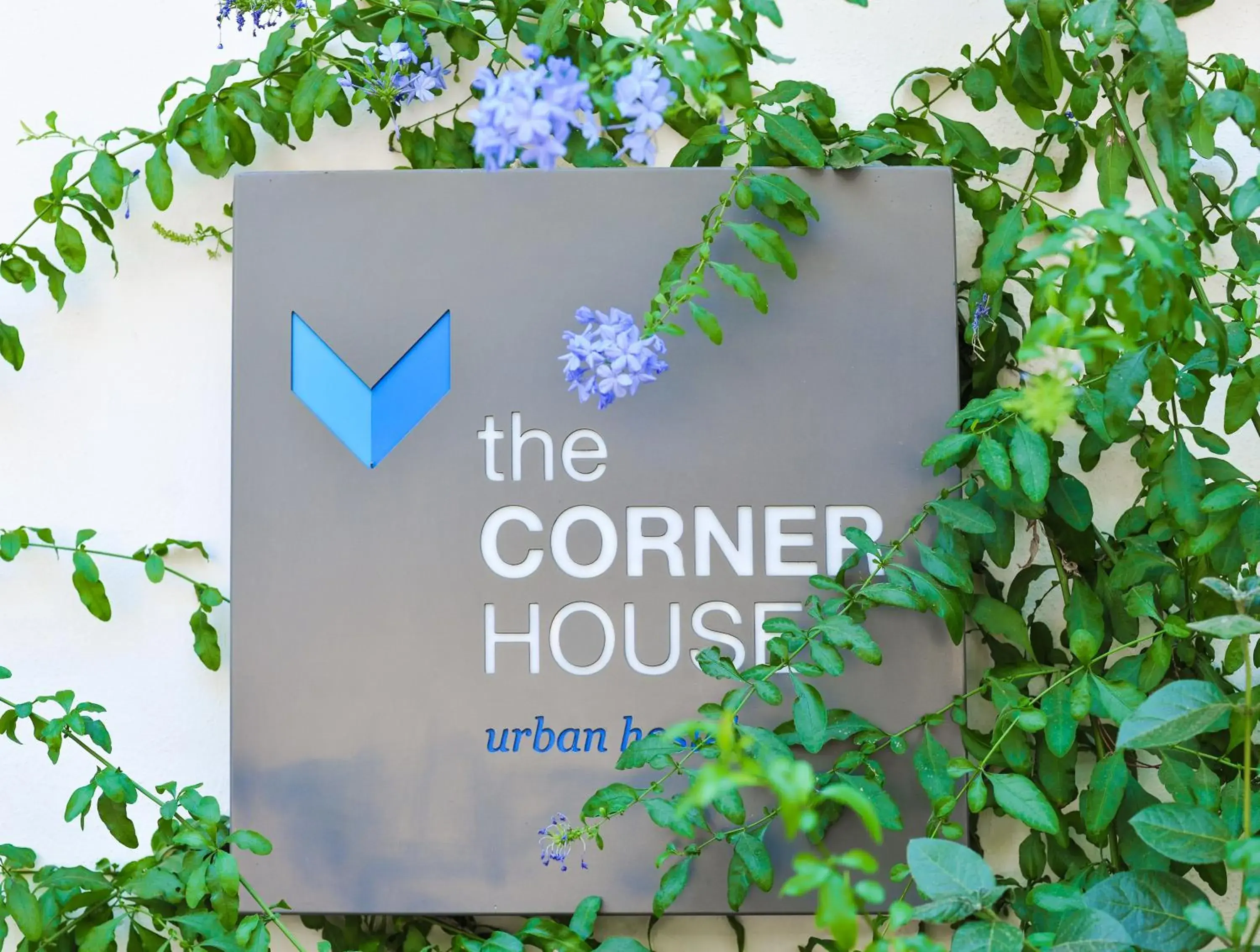 Property building in The Corner House Property building in The Corner House