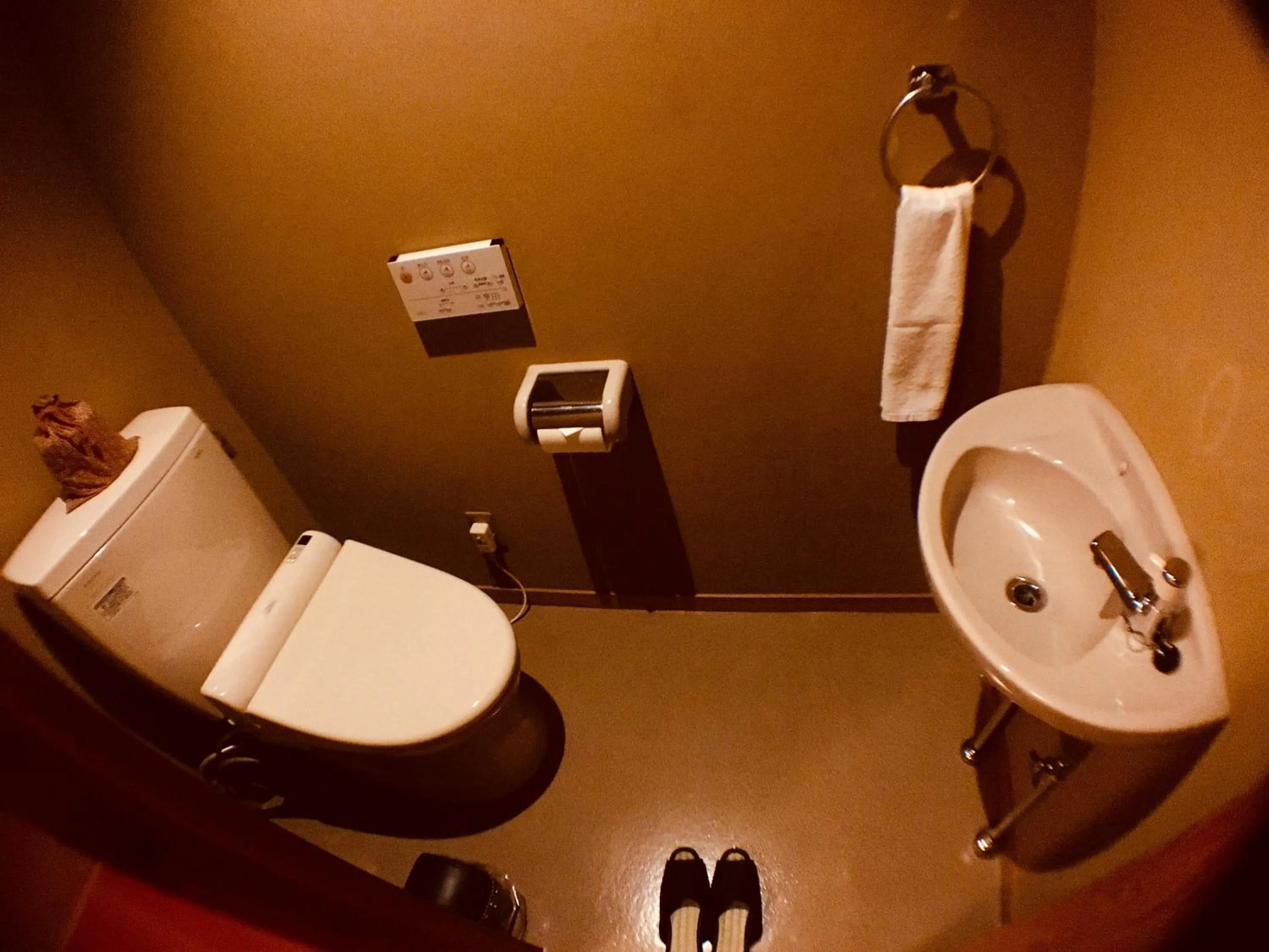 Toilet in Ginka
